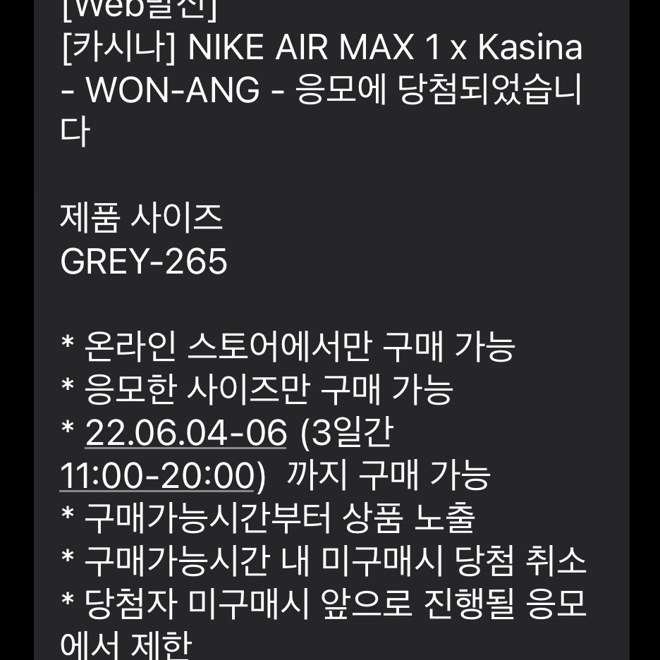 Nike x Kasina Air Max 1 SP Won-Ang Particle Grey 착용 스타일
