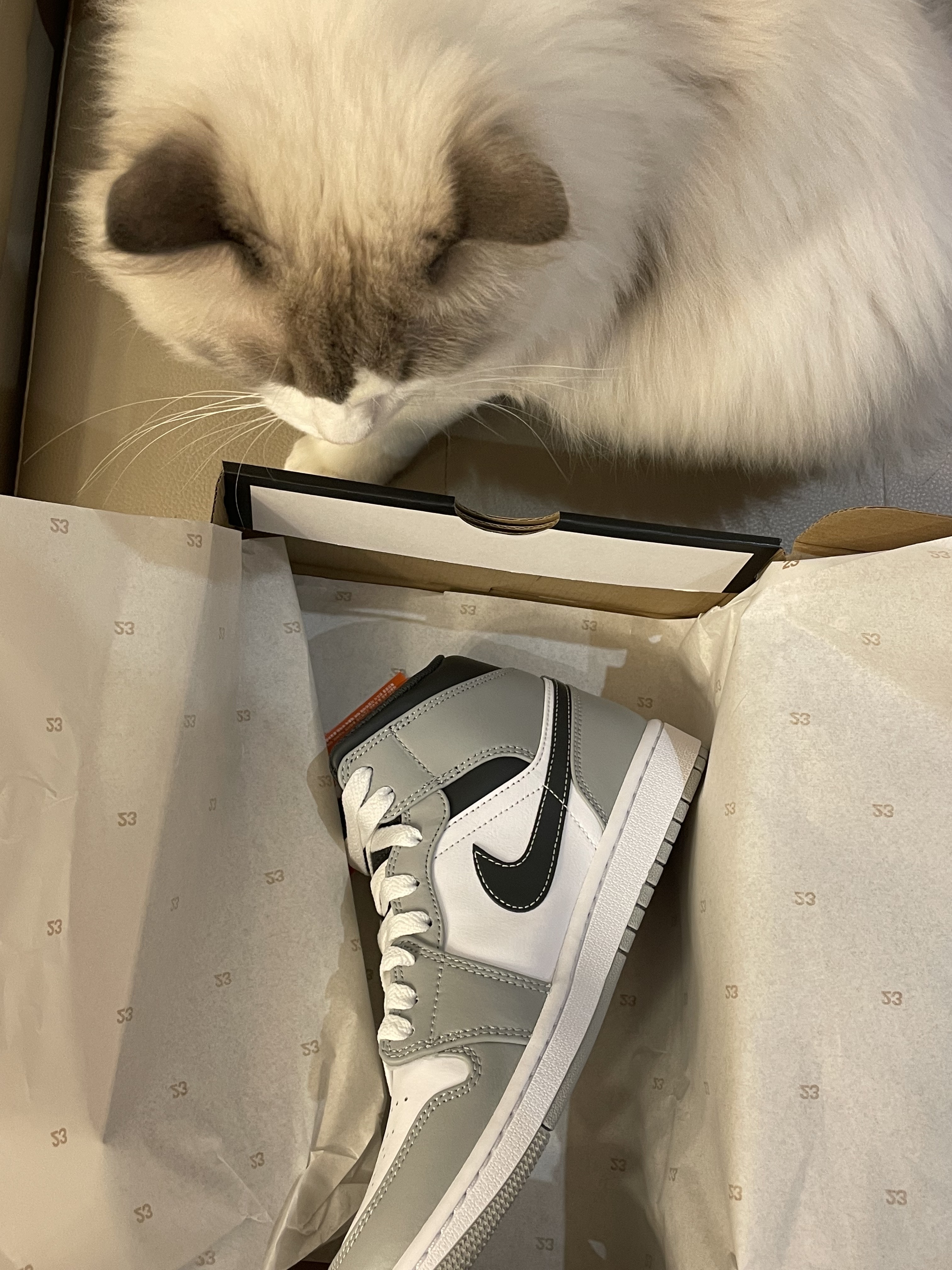 Jordan 1 Mid Light Smoke Grey Anthracite 착용 스타일 - 1