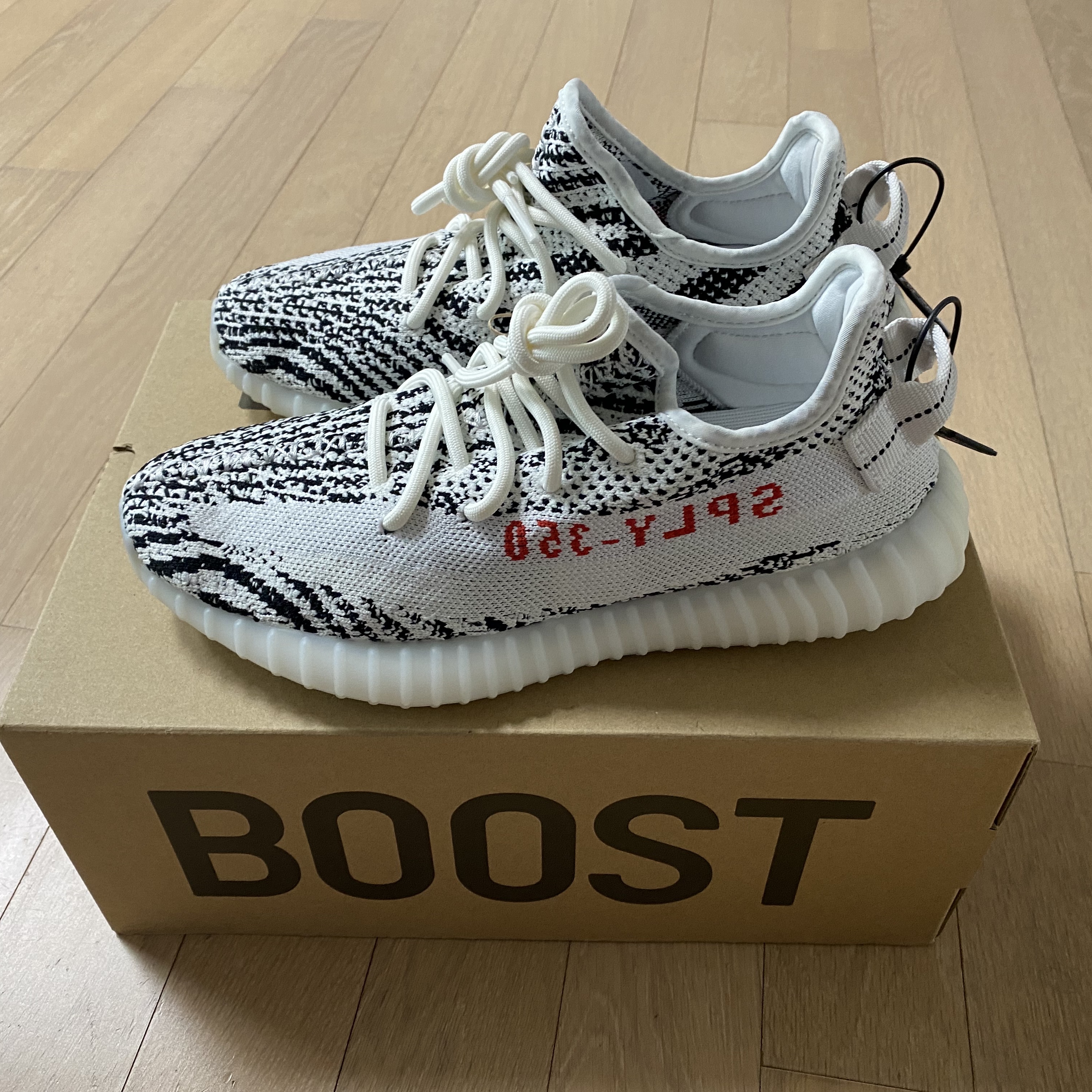 인스타 carsteam_sso님의 스타일 - 2