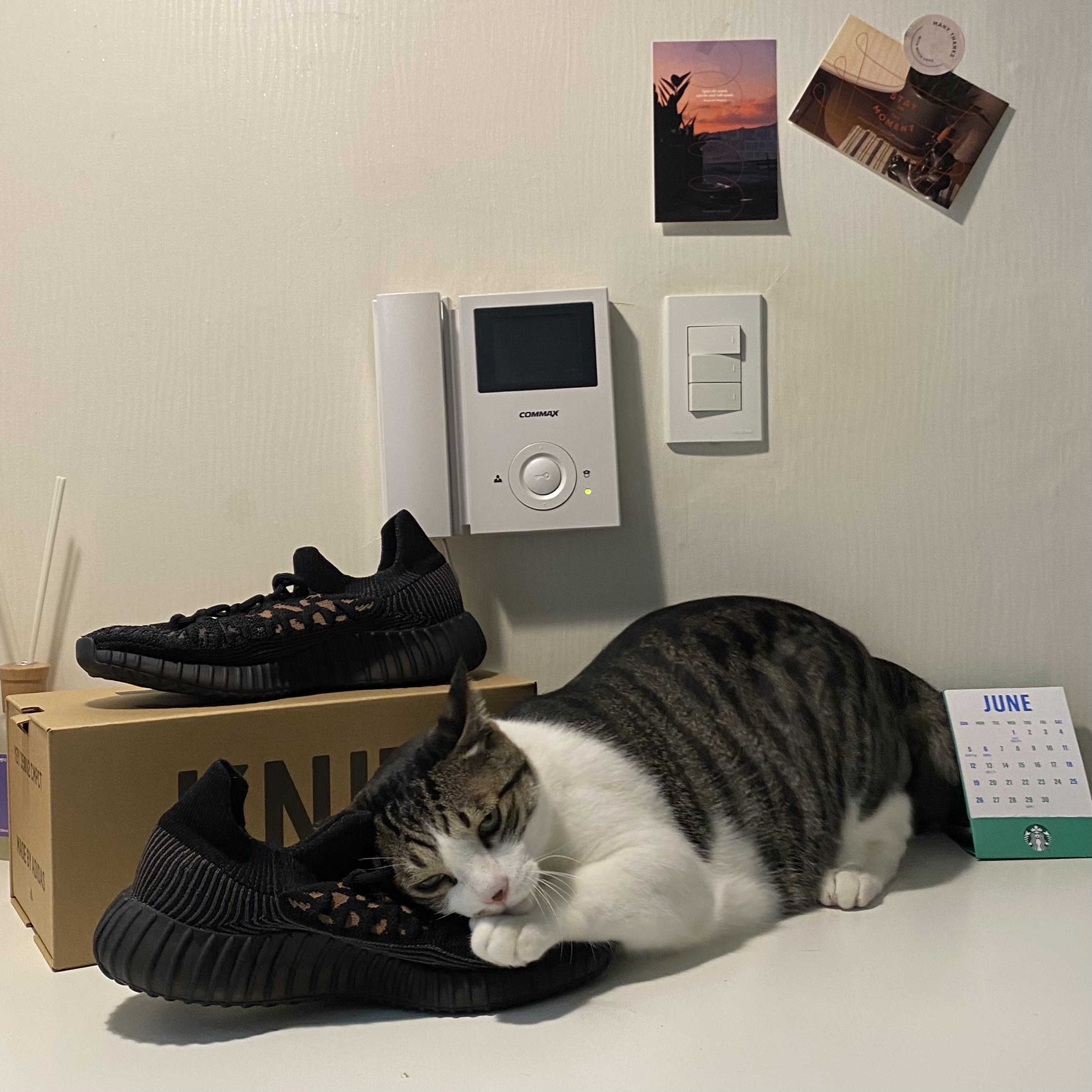 Adidas Yeezy 350 V2 CMPCT Slate Carbon 착용 스타일 - 4