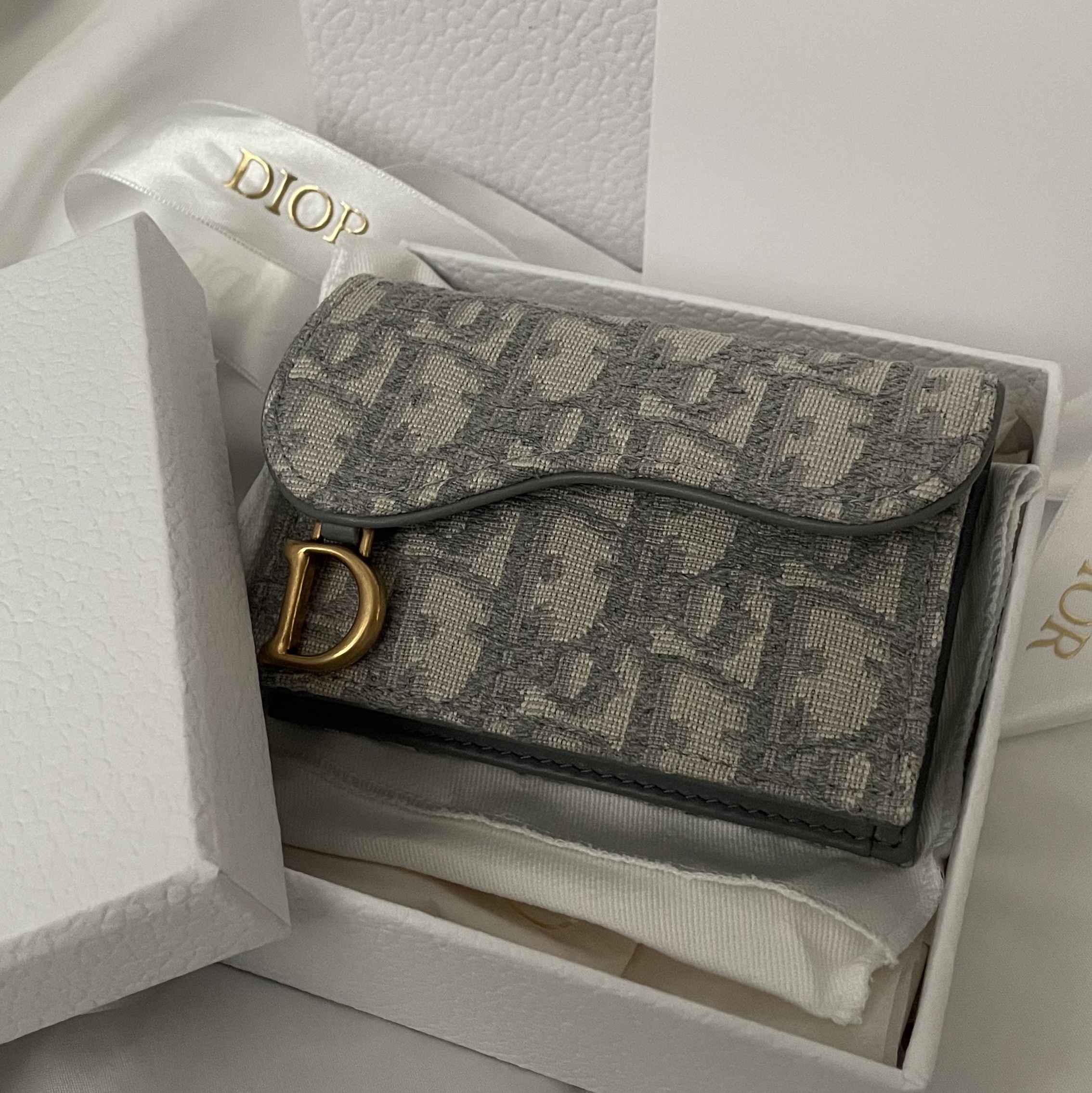 Dior Saddle Flap Card Holder Grey Dior Oblique Jacquard 착용 스타일