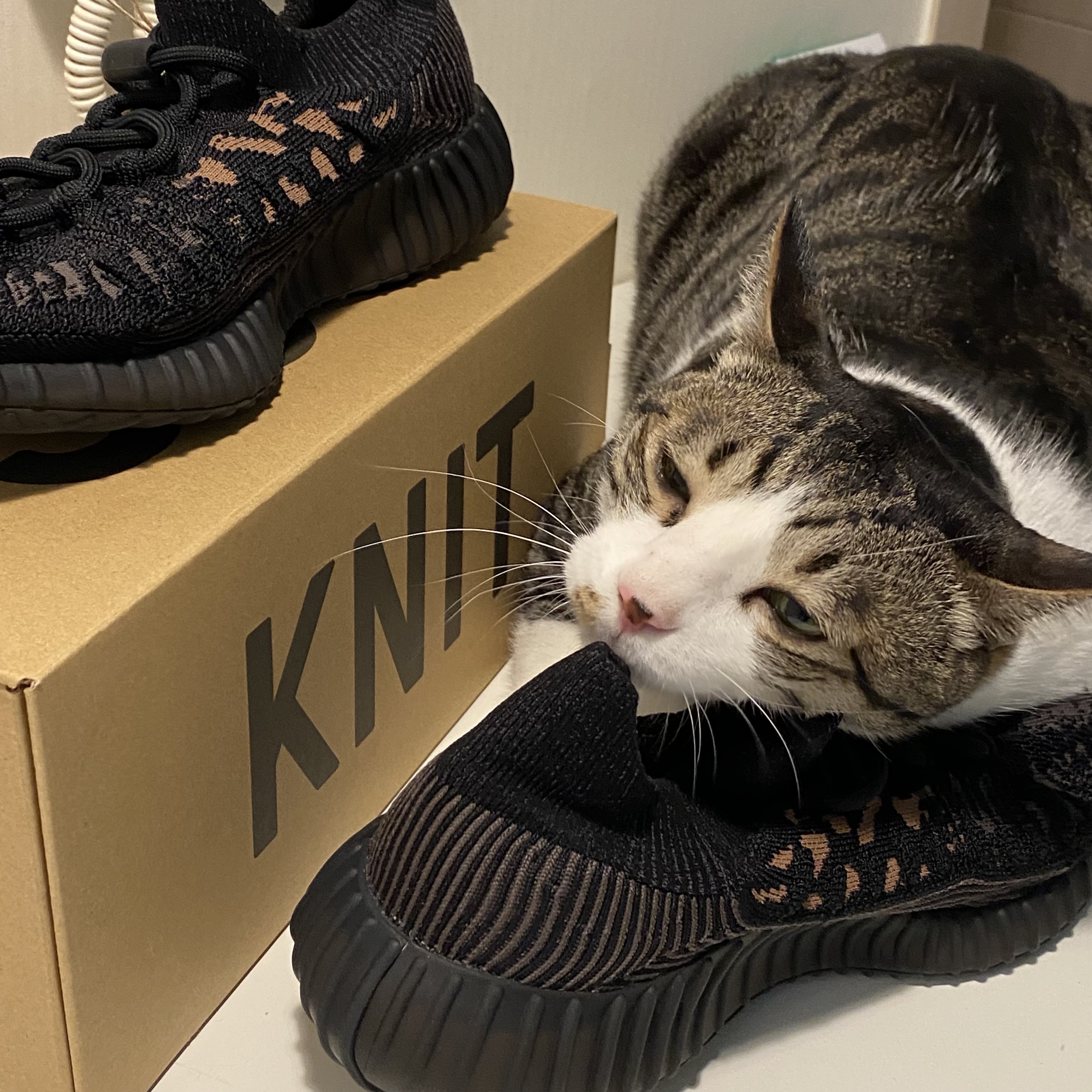 Adidas Yeezy 350 V2 CMPCT Slate Carbon 착용 스타일 - 3