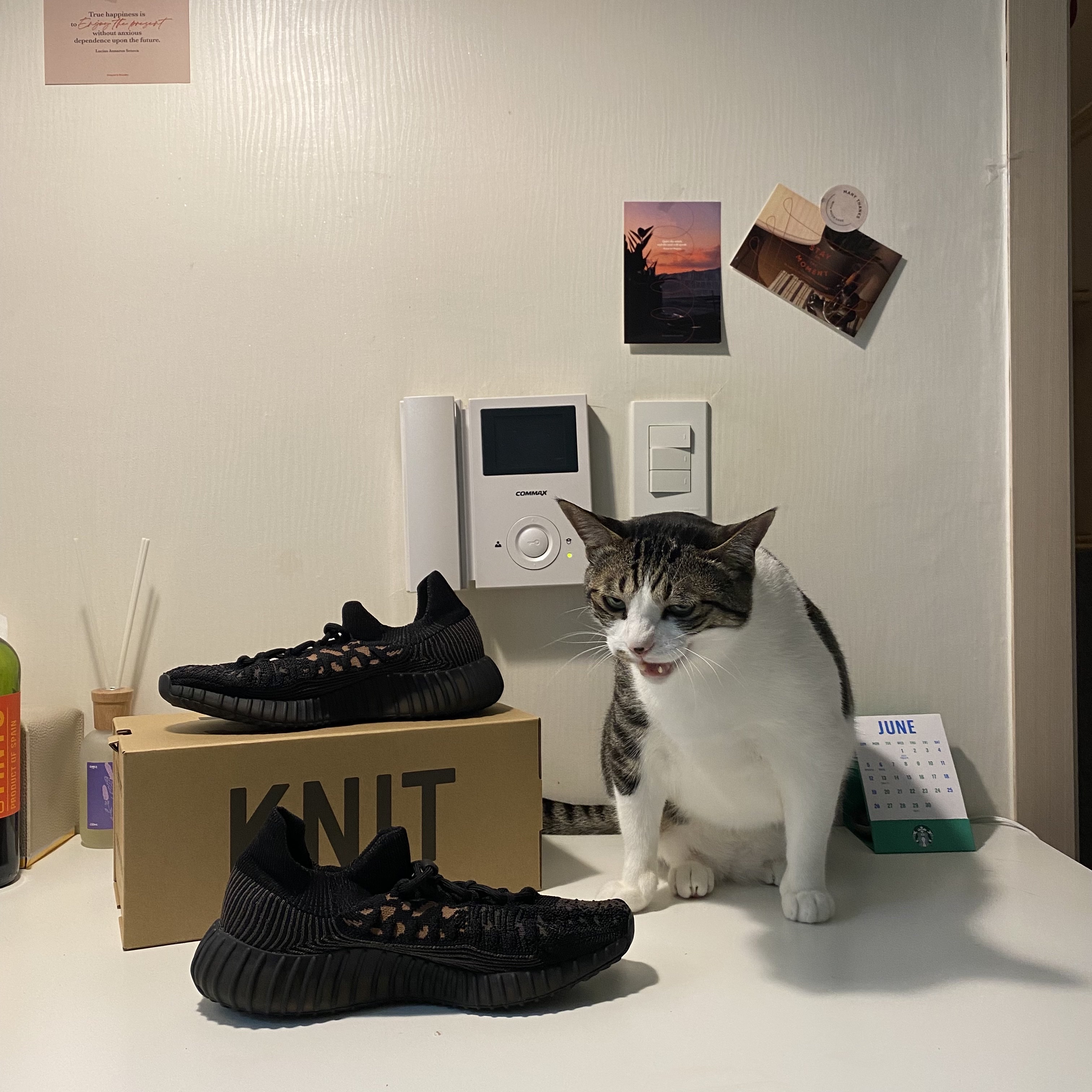 Adidas Yeezy 350 V2 CMPCT Slate Carbon 착용 스타일 - 1