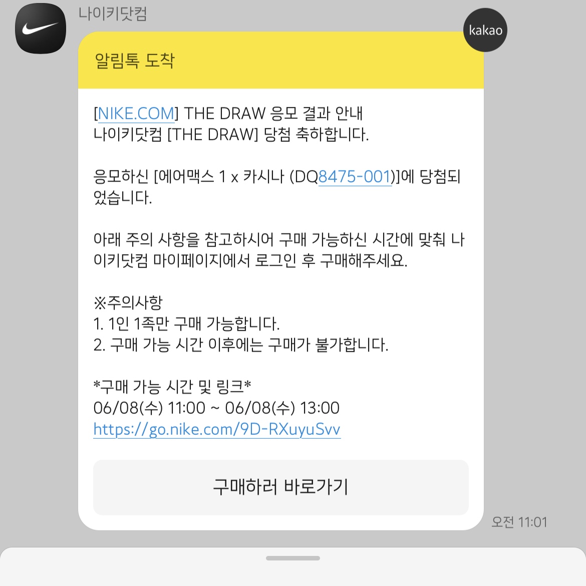 Nike x Kasina Air Max 1 SP Won-Ang Particle Grey 착용 스타일