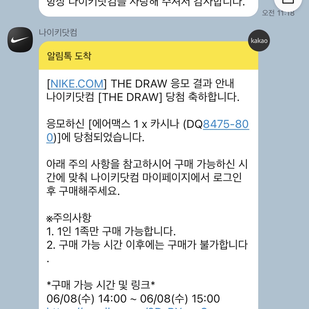 Nike x Kasina Air Max 1 SP Won-Ang Orange 착용 스타일