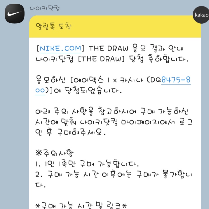 Nike x Kasina Air Max 1 SP Won-Ang Orange, Nike x Kasina Air Max 1 SP Won-Ang Particle Grey 착용 스타일 - 1