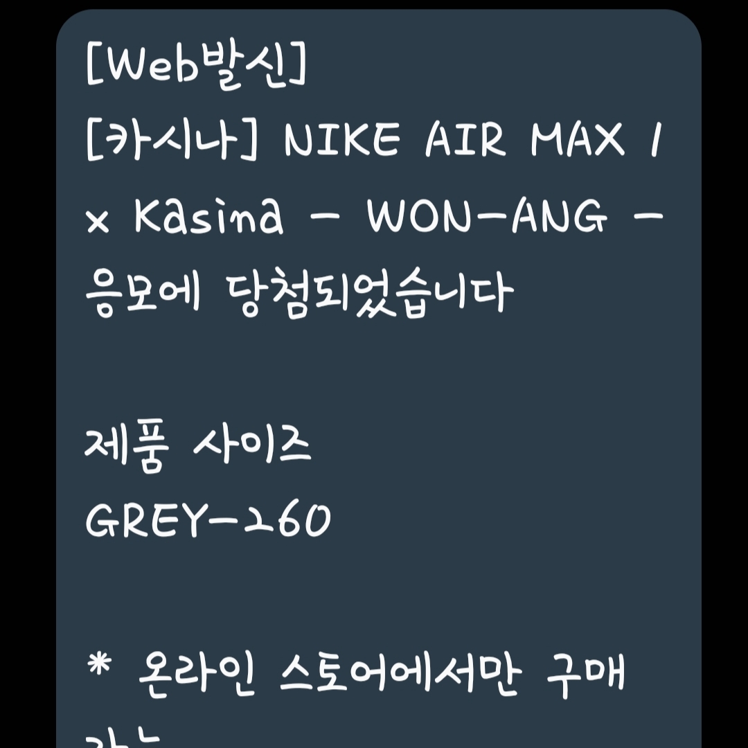Nike x Kasina Air Max 1 SP Won-Ang Particle Grey 착용 스타일