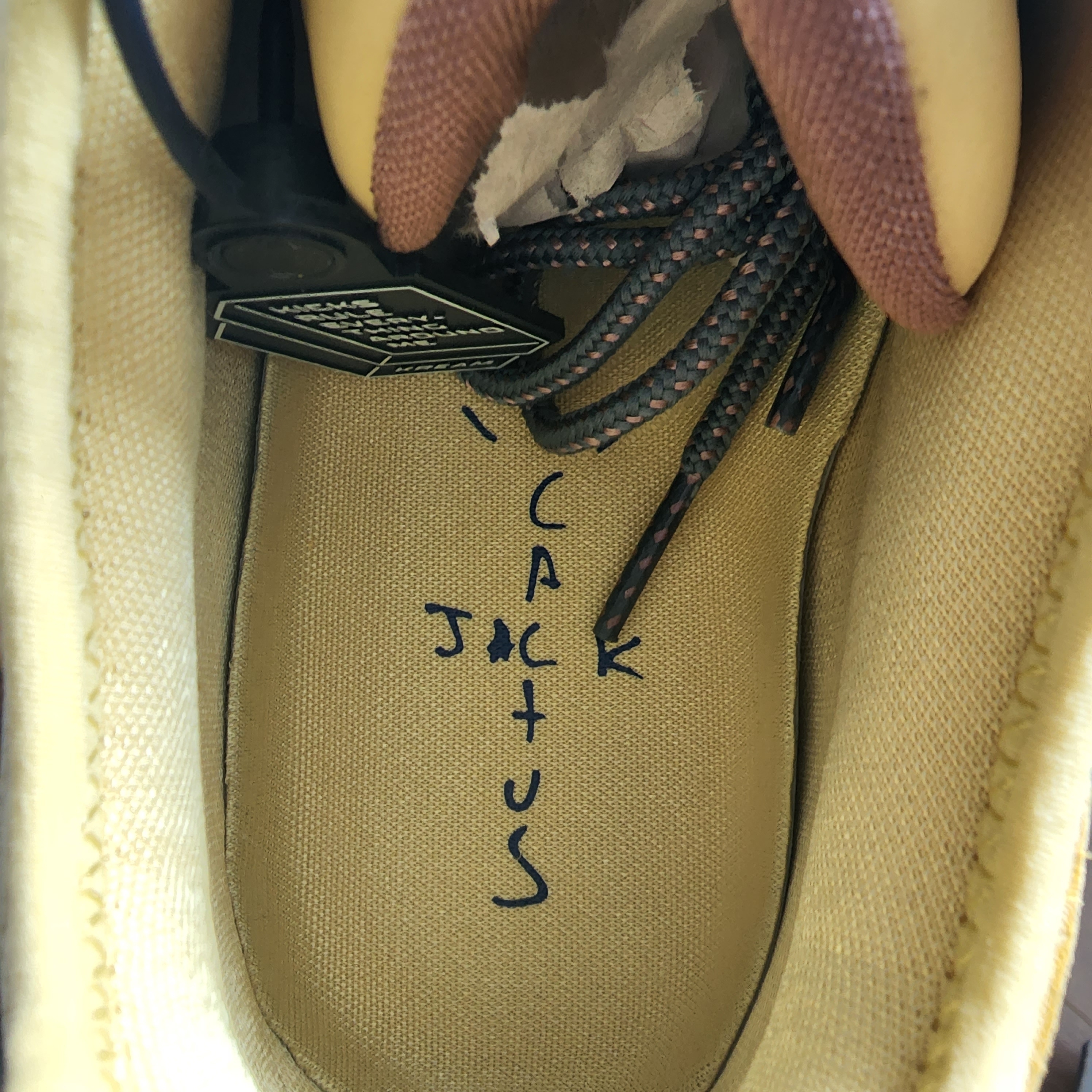 Nike x Travis Scott Air Max 1 Cact.us Gold 착용 스타일 - 4