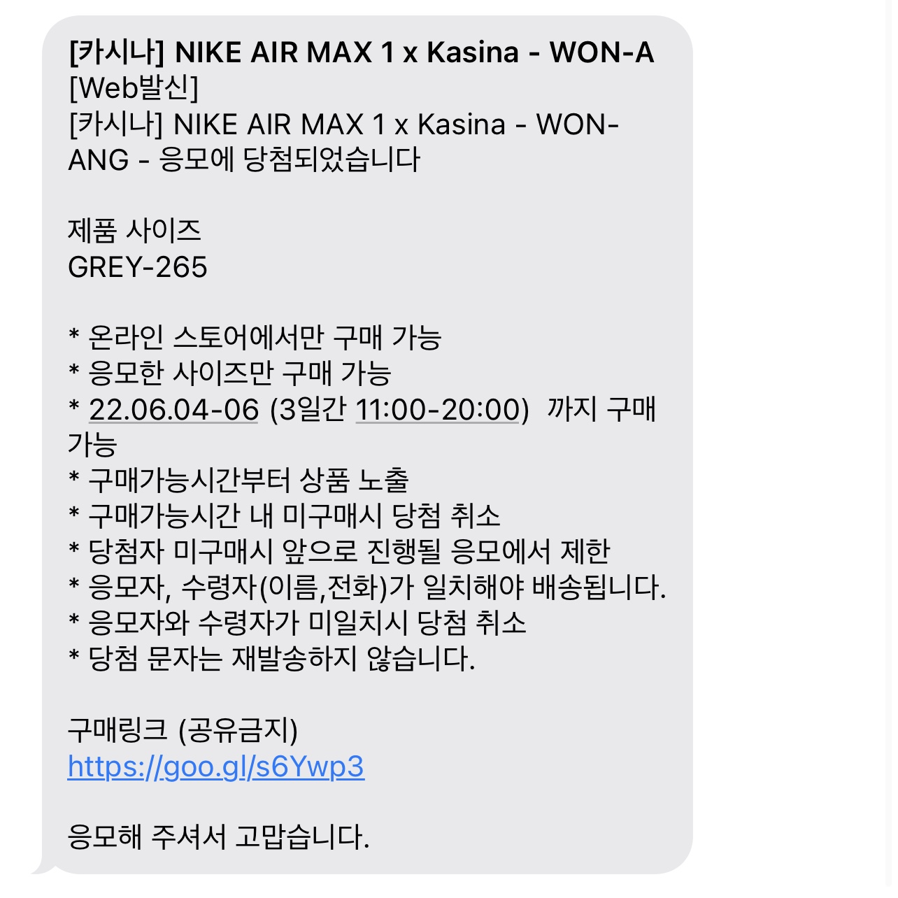Nike x Kasina Air Max 1 SP Won-Ang Particle Grey 착용 스타일