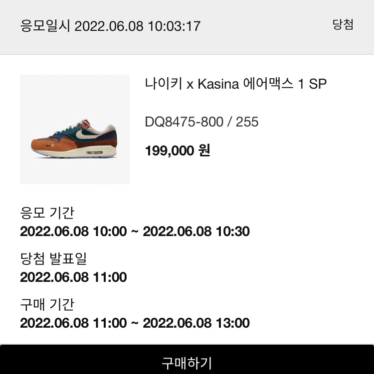 Nike x Kasina Air Max 1 SP Won-Ang Orange 착용 스타일
