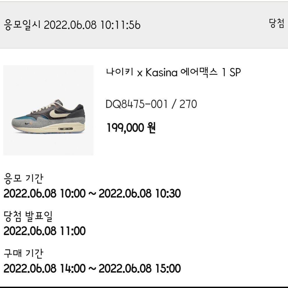 Nike x Kasina Air Max 1 SP Won-Ang Particle Grey 착용 스타일