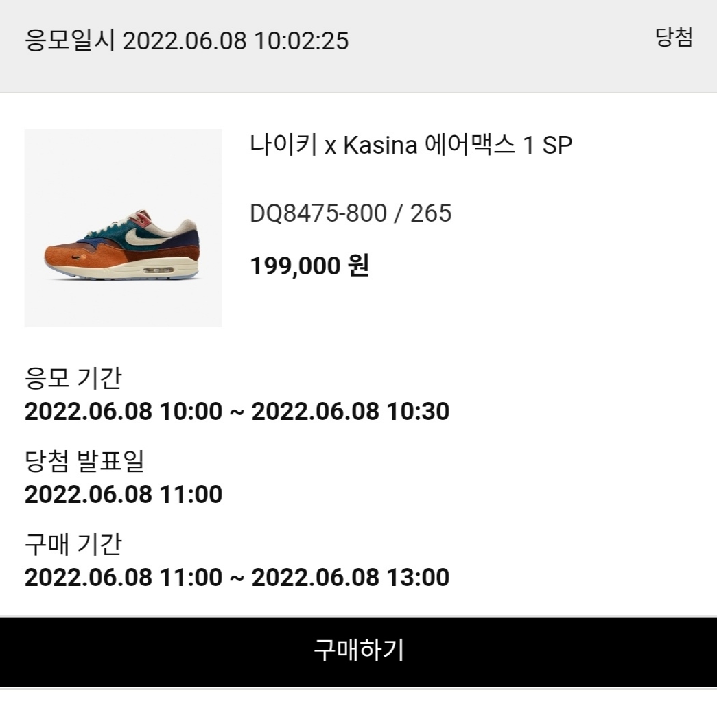 Nike x Kasina Air Max 1 SP Won-Ang Orange 착용 스타일