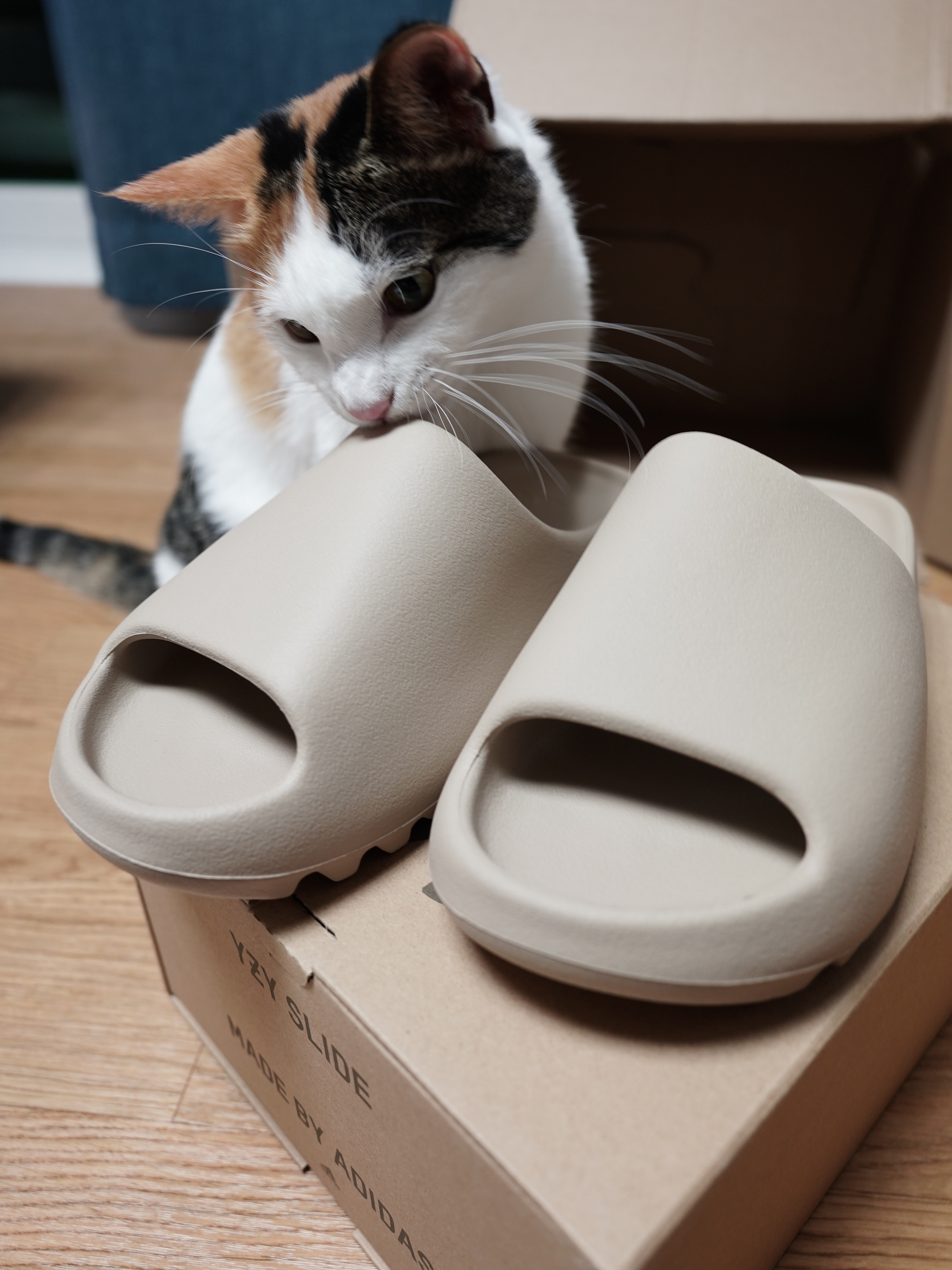 Adidas Yeezy Slide Pure - Re-Release Ver. 착용 스타일 - 1