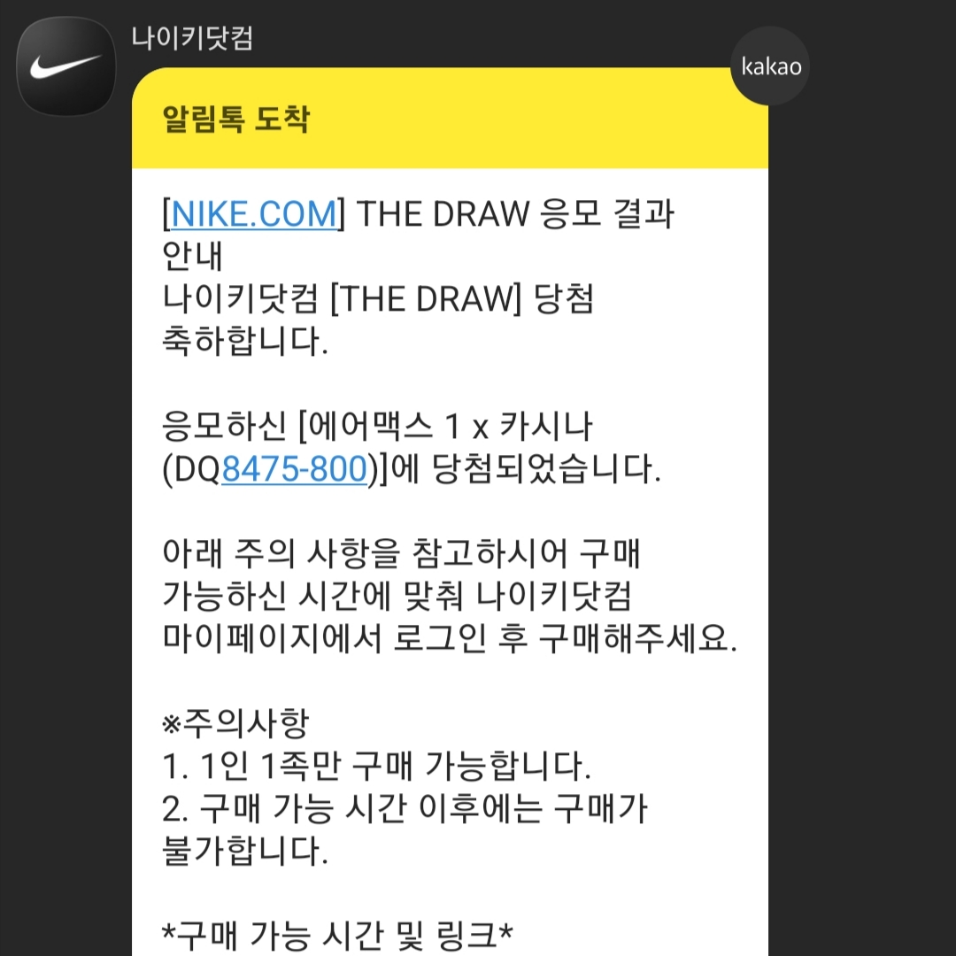 Nike x Kasina Air Max 1 SP Won-Ang Orange 착용 스타일