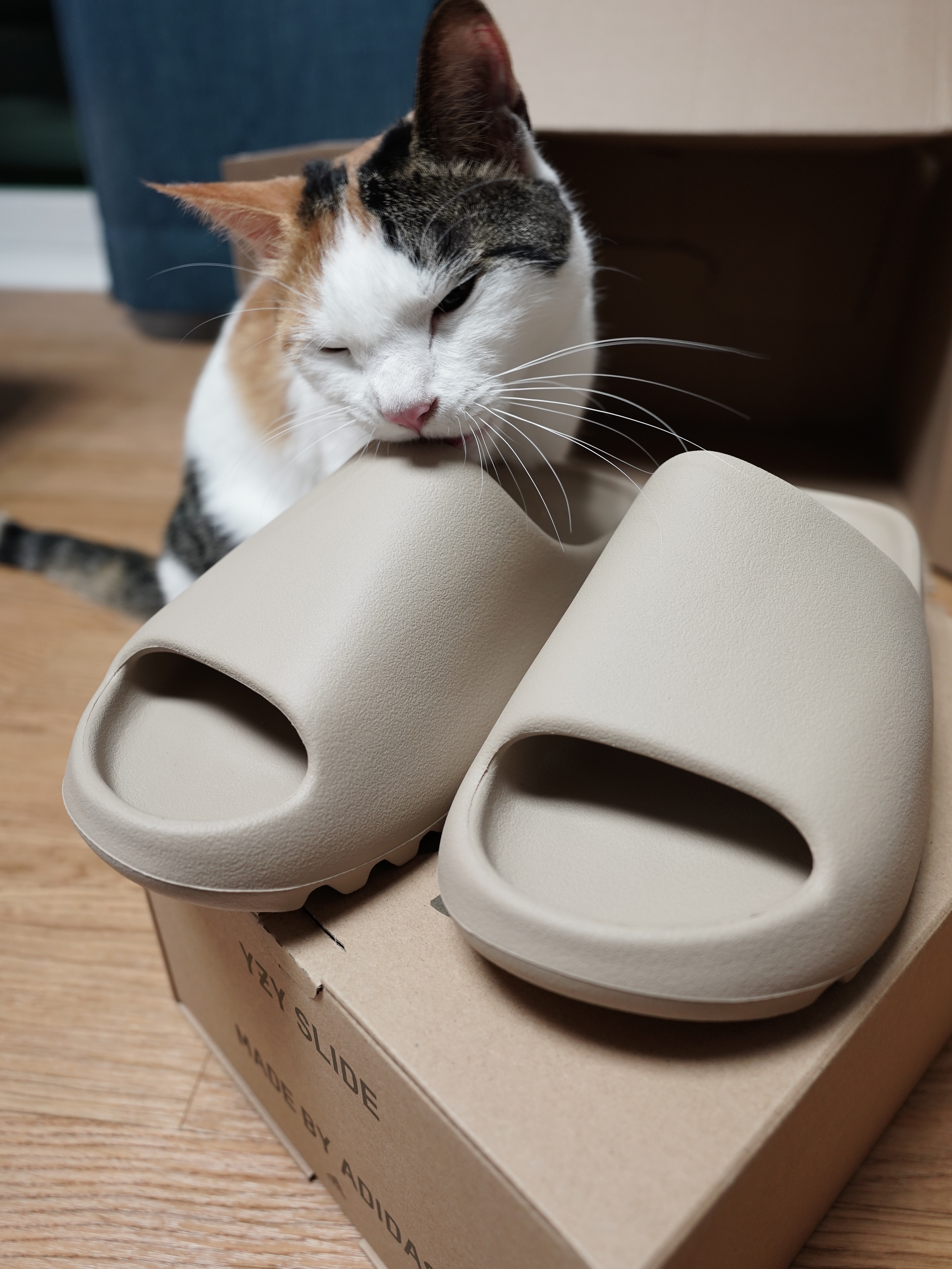 Adidas Yeezy Slide Pure - Re-Release Ver. 착용 스타일 - 2