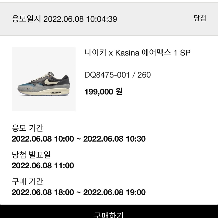 Nike x Kasina Air Max 1 SP Won-Ang Particle Grey 착용 스타일