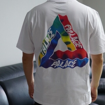 Palace Tri-Visions T-Shirt White - 22SS 착용 스타일