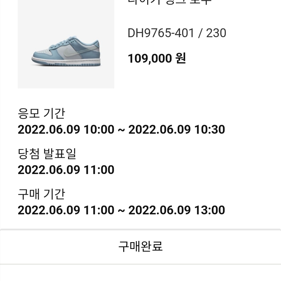(GS) Nike Dunk Low Aura 착용 스타일