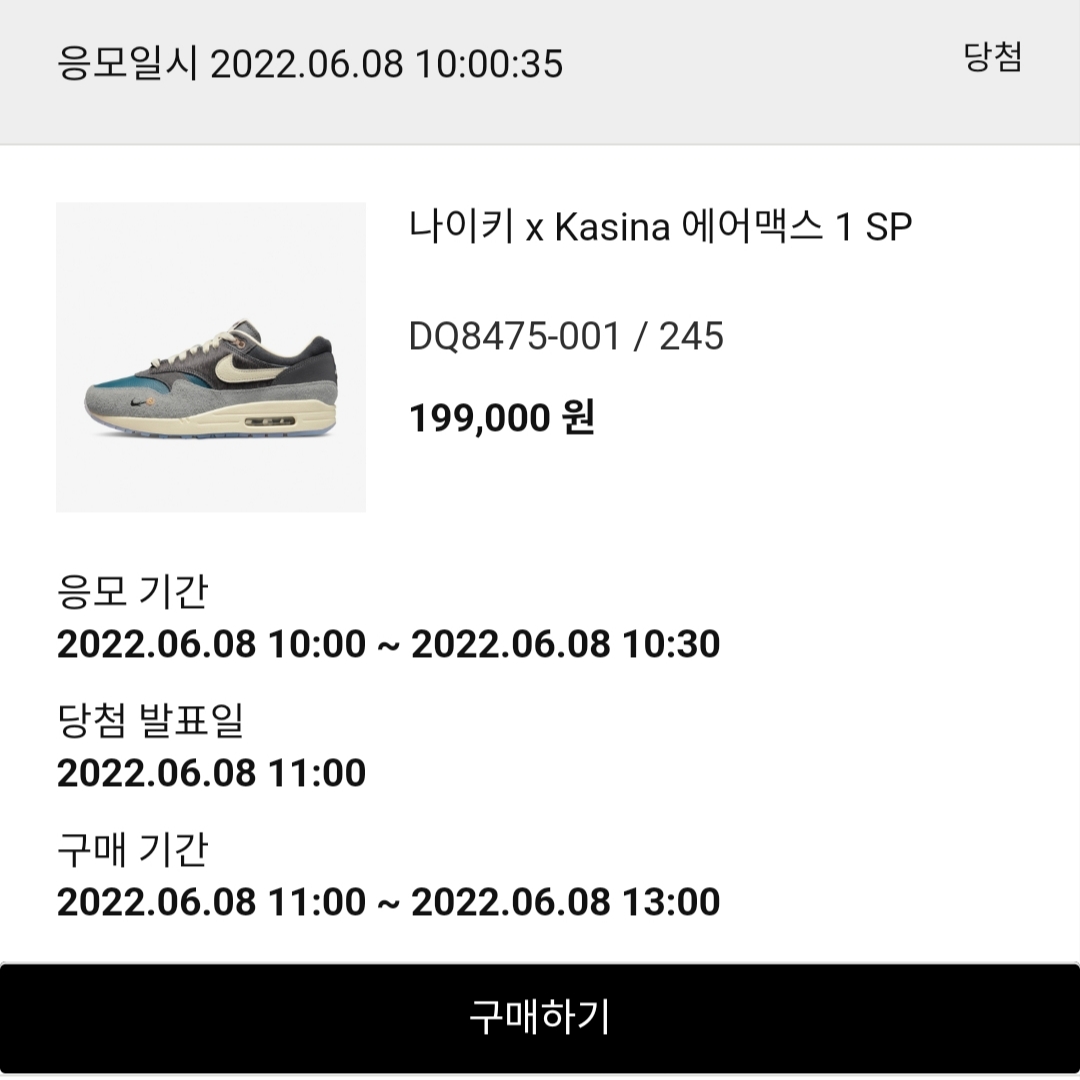 Nike x Kasina Air Max 1 SP Won-Ang Particle Grey 착용 스타일