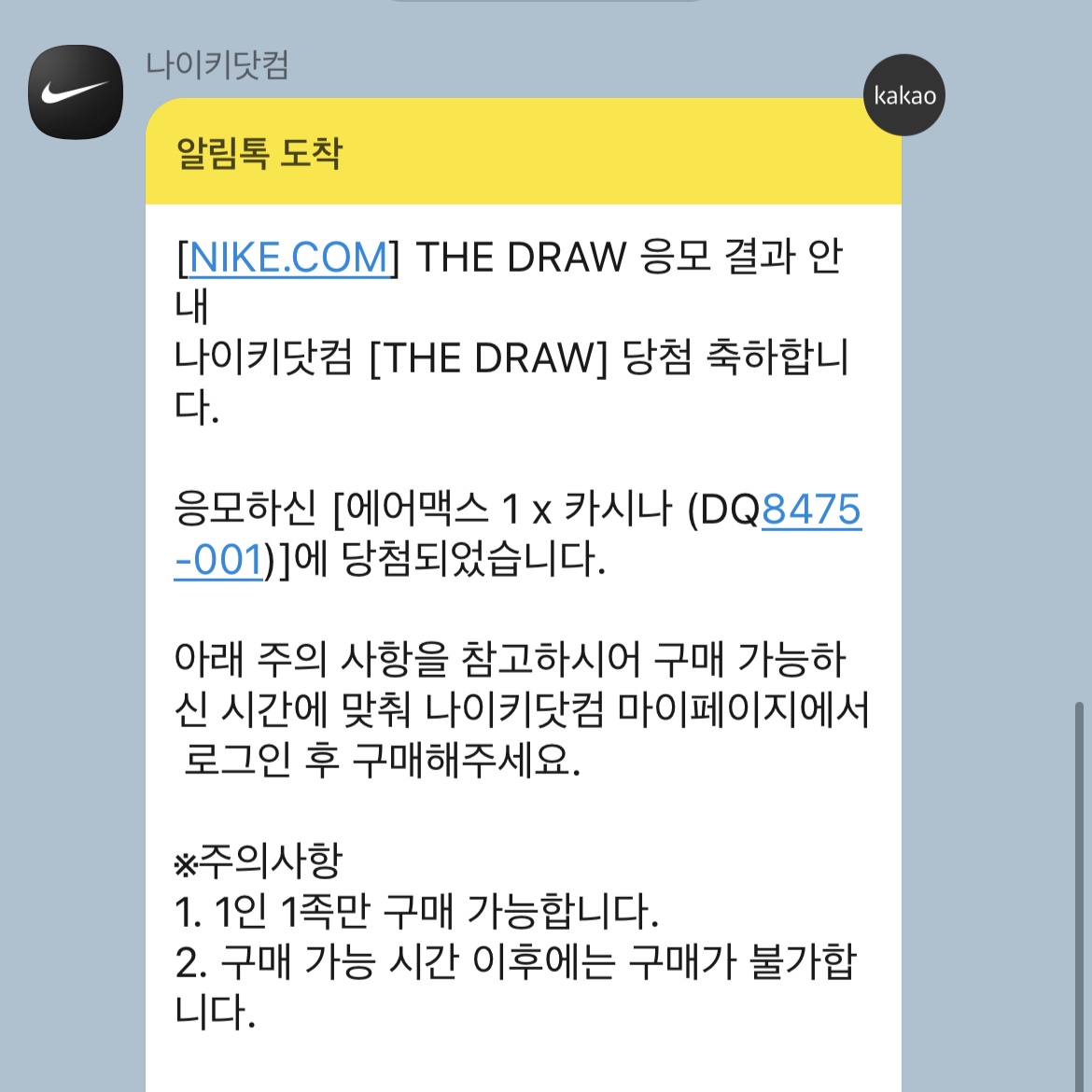 Nike x Kasina Air Max 1 SP Won-Ang Particle Grey 착용 스타일 - 1