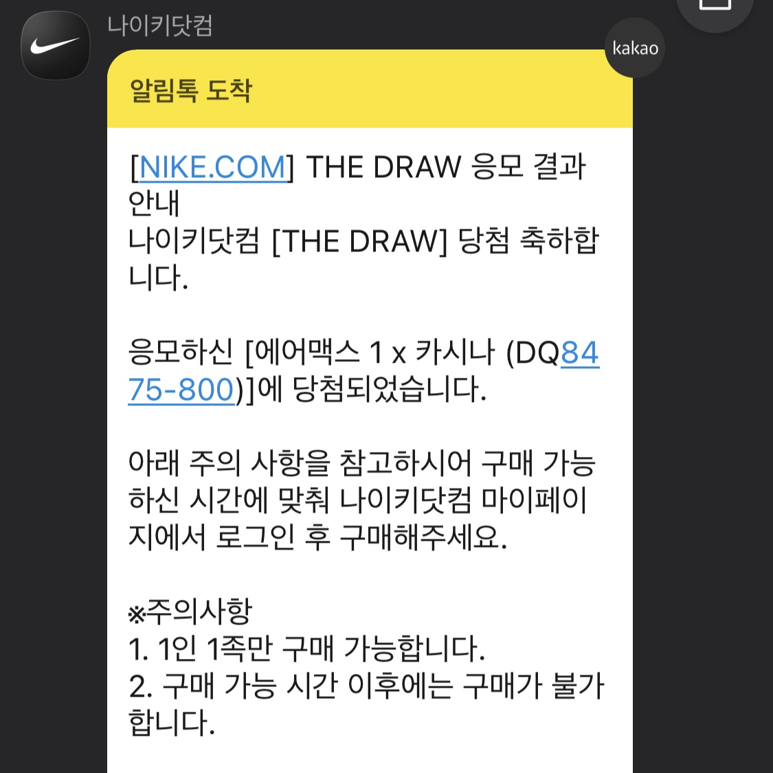 Nike x Kasina Air Max 1 SP Won-Ang Orange 착용 스타일
