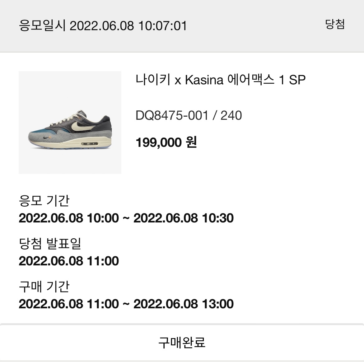 Nike x Kasina Air Max 1 SP Won-Ang Particle Grey 착용 스타일