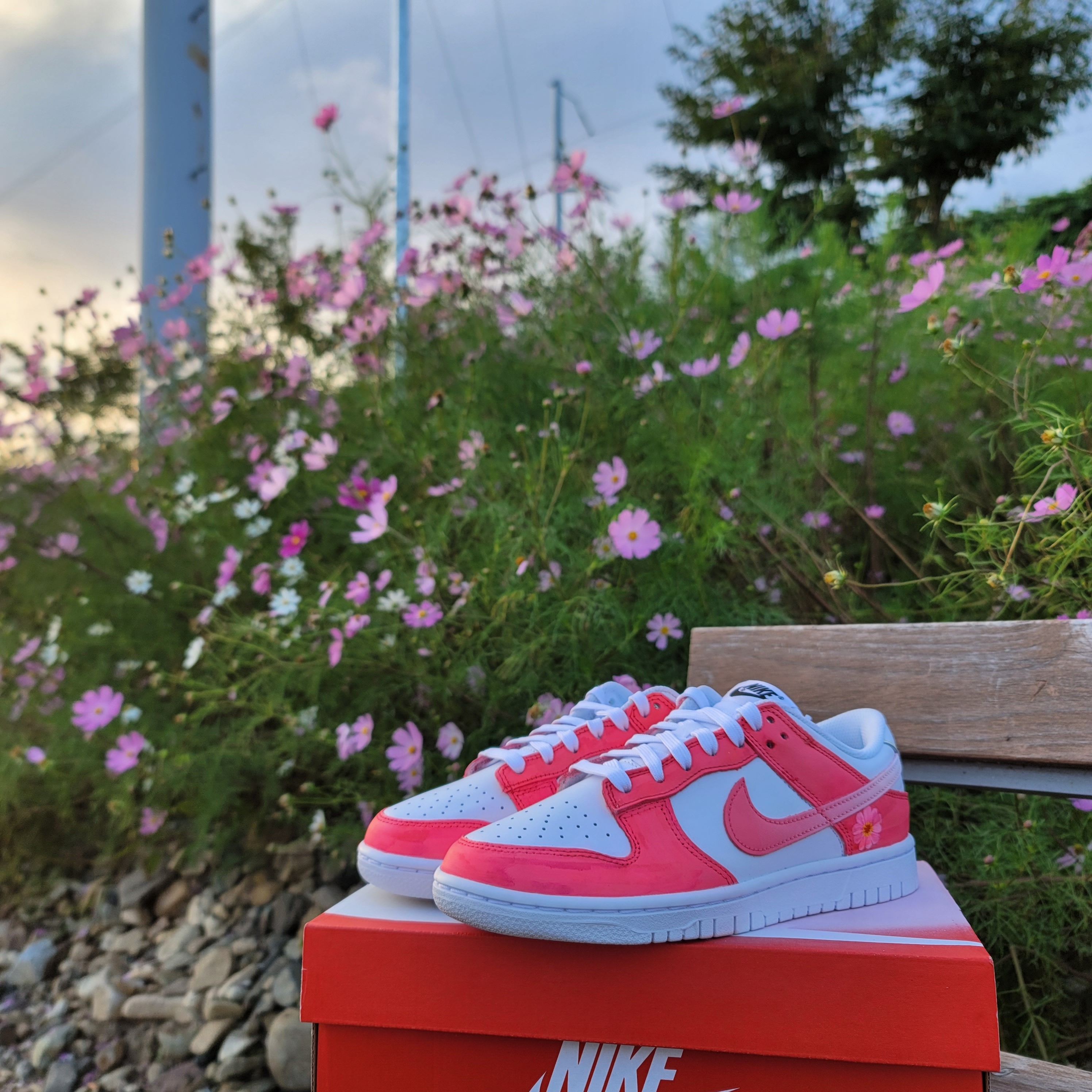 (W) Nike Dunk Low Archeo Pink, (W) Nike Dunk Low Triple White 착용 스타일 - 4