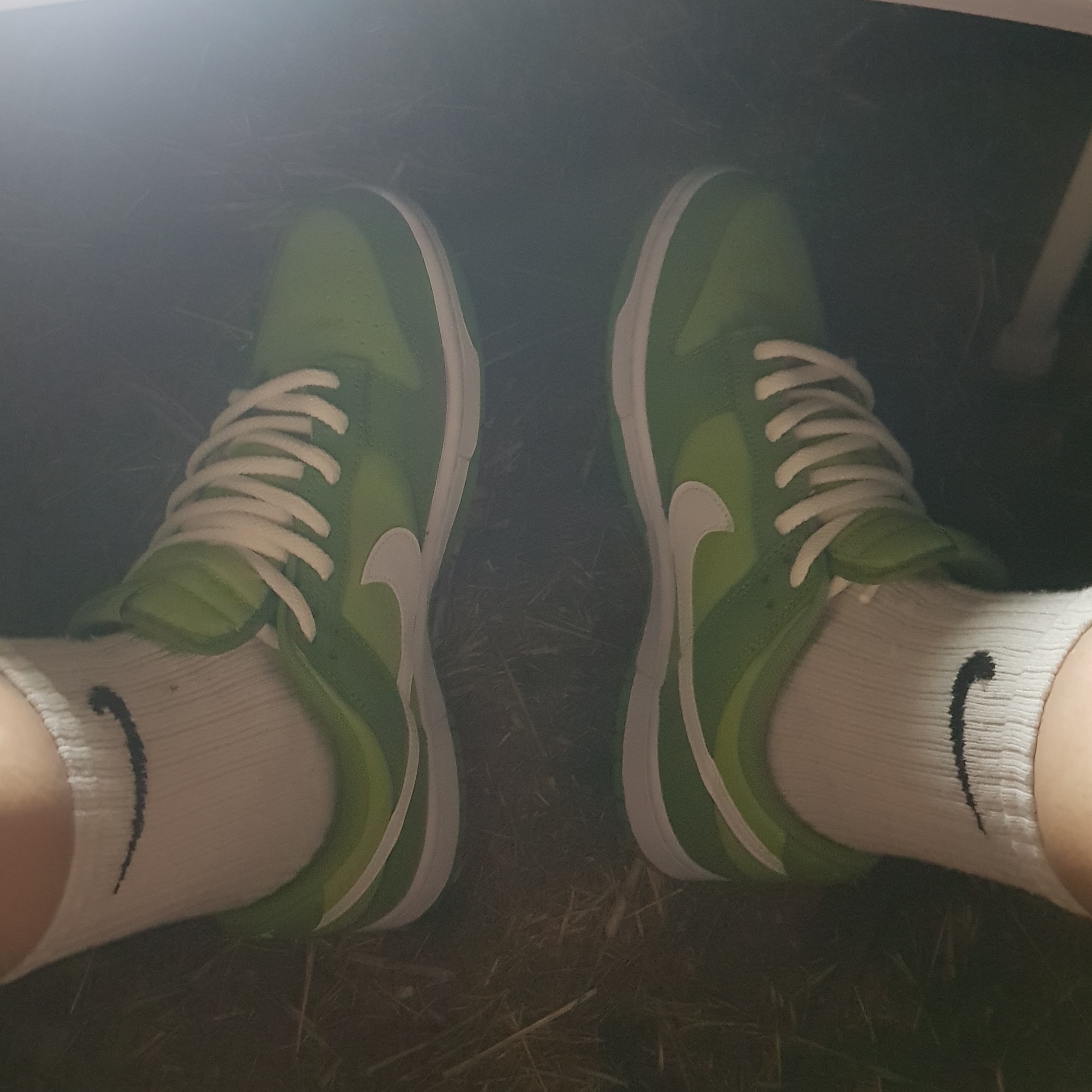 Nike Dunk Low Retro Vivid Green 착용 스타일