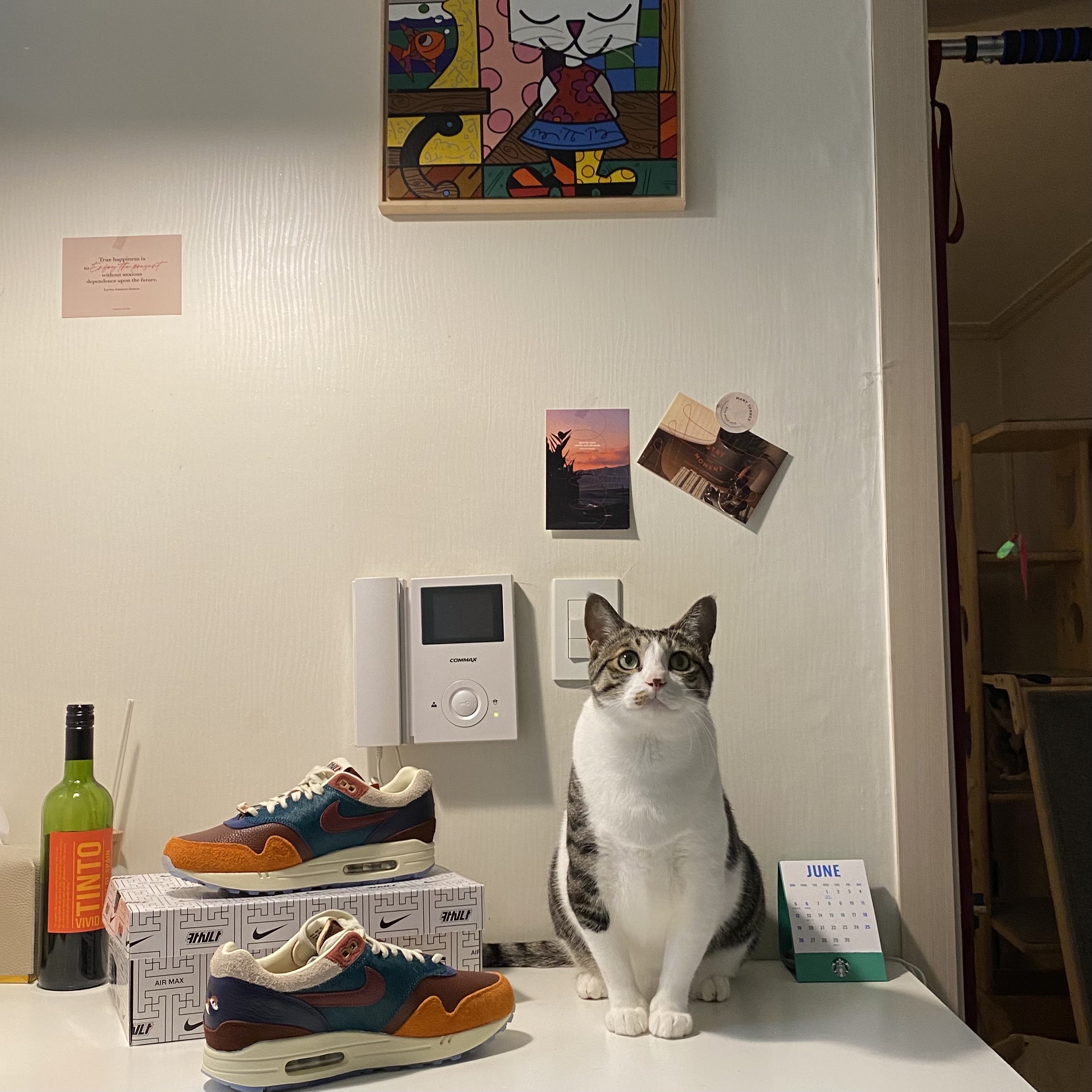 Nike x Kasina Air Max 1 SP Won-Ang Orange 착용 스타일 - 1