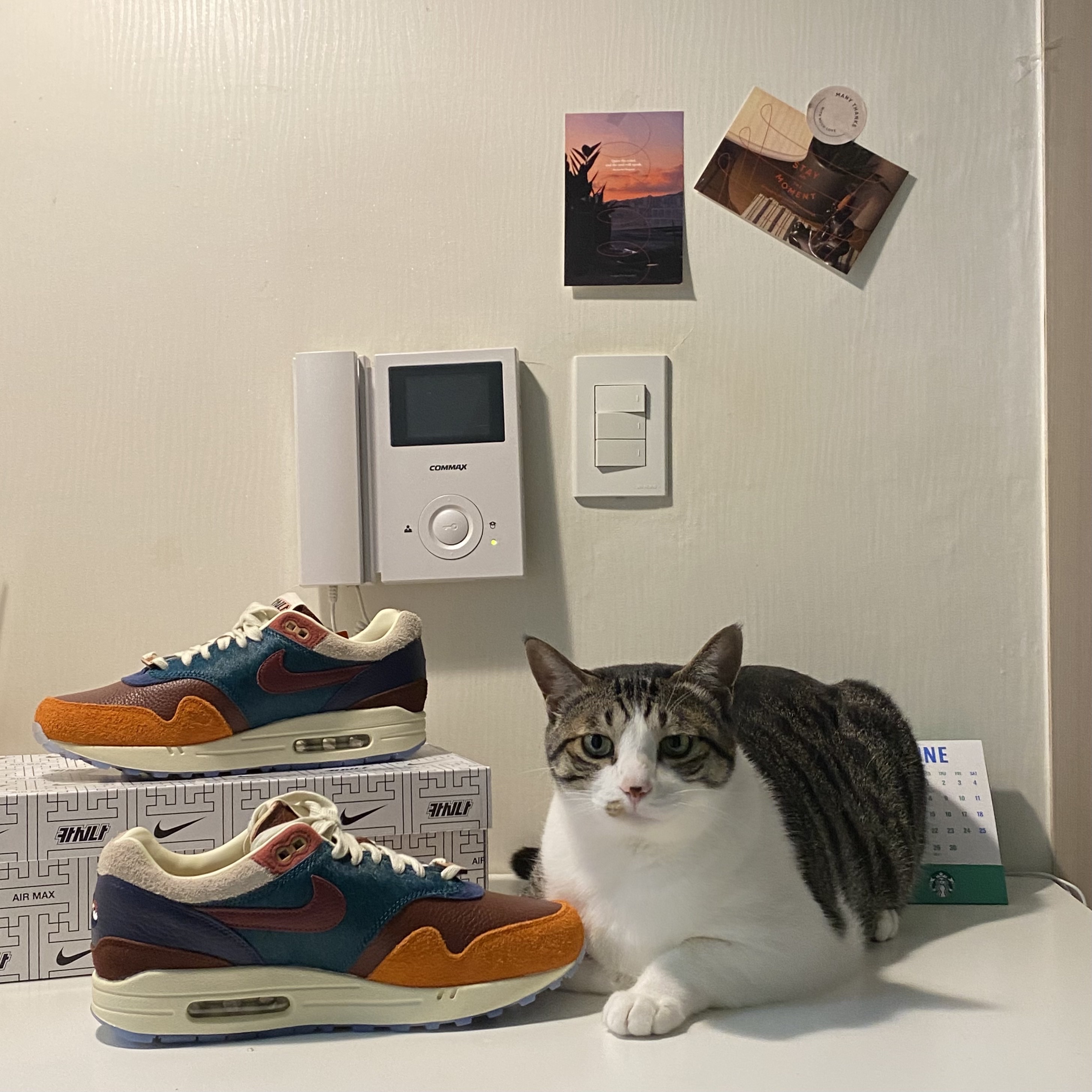 Nike x Kasina Air Max 1 SP Won-Ang Orange 착용 스타일 - 4