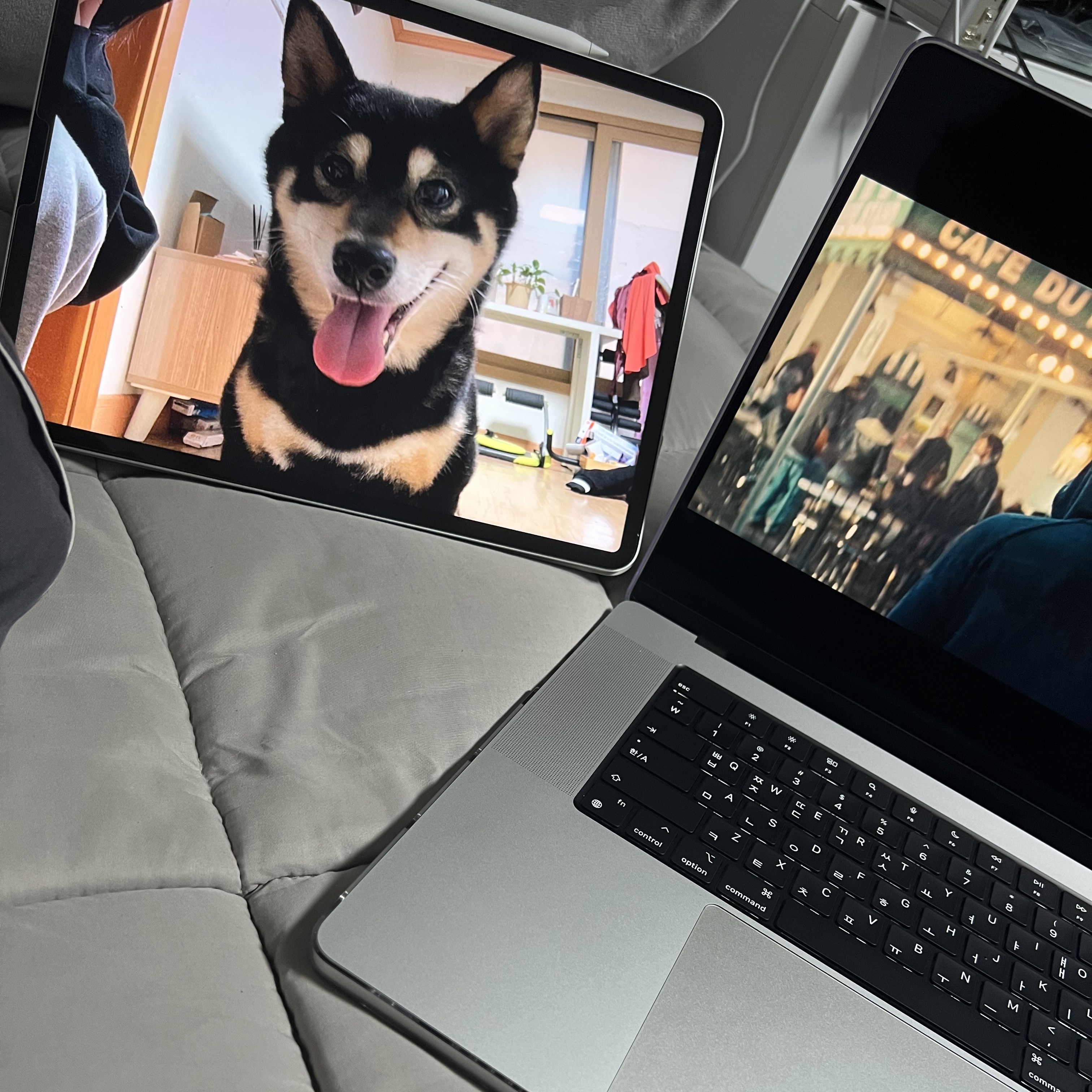 Apple iPad Pro 5th Gen 12.9-inch Wifi 1TB Space Gray (Korean Ver.), Apple Pencil 2nd Gen 착용 스타일
