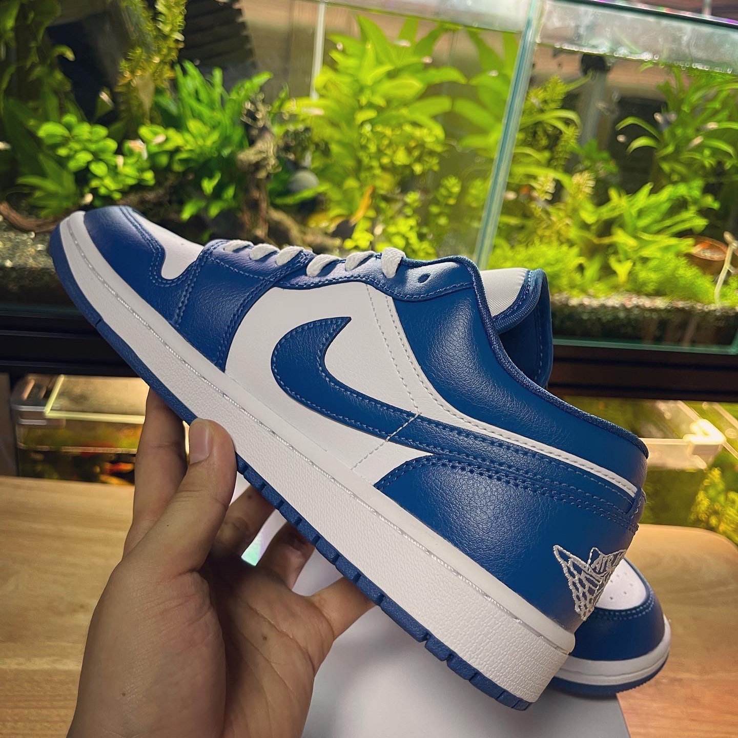 (W) Jordan 1 Low White Dark Marina Blue 착용 스타일 - 3
