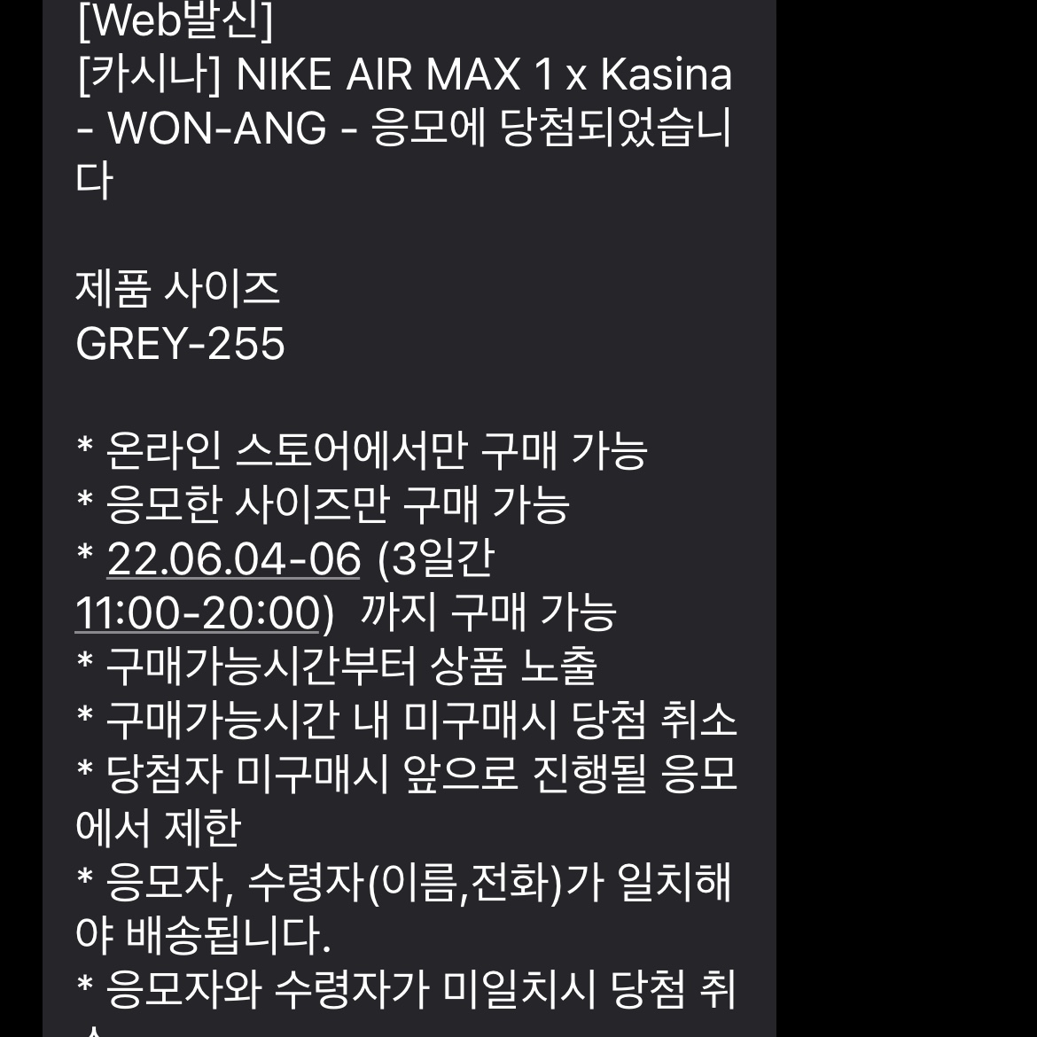 Nike x Kasina Air Max 1 SP Won-Ang Particle Grey 착용 스타일 - 1