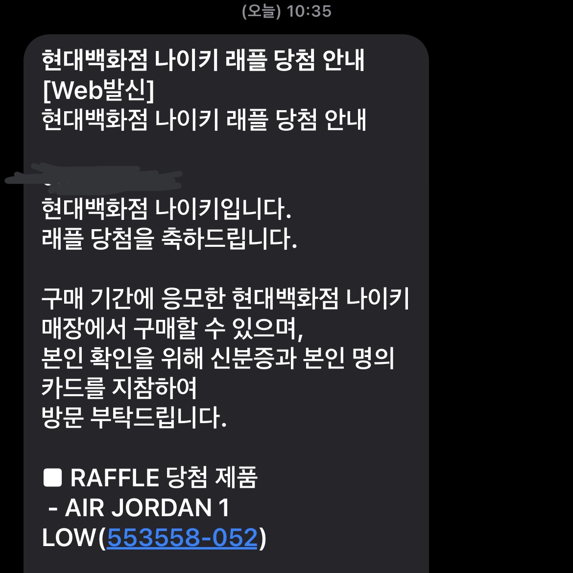 Jordan 1 Low Light Smoke Grey Black 착용 스타일 - 4