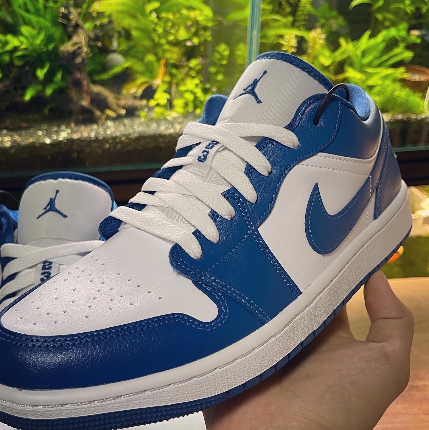 (W) Jordan 1 Low White Dark Marina Blue 착용 스타일 - 2