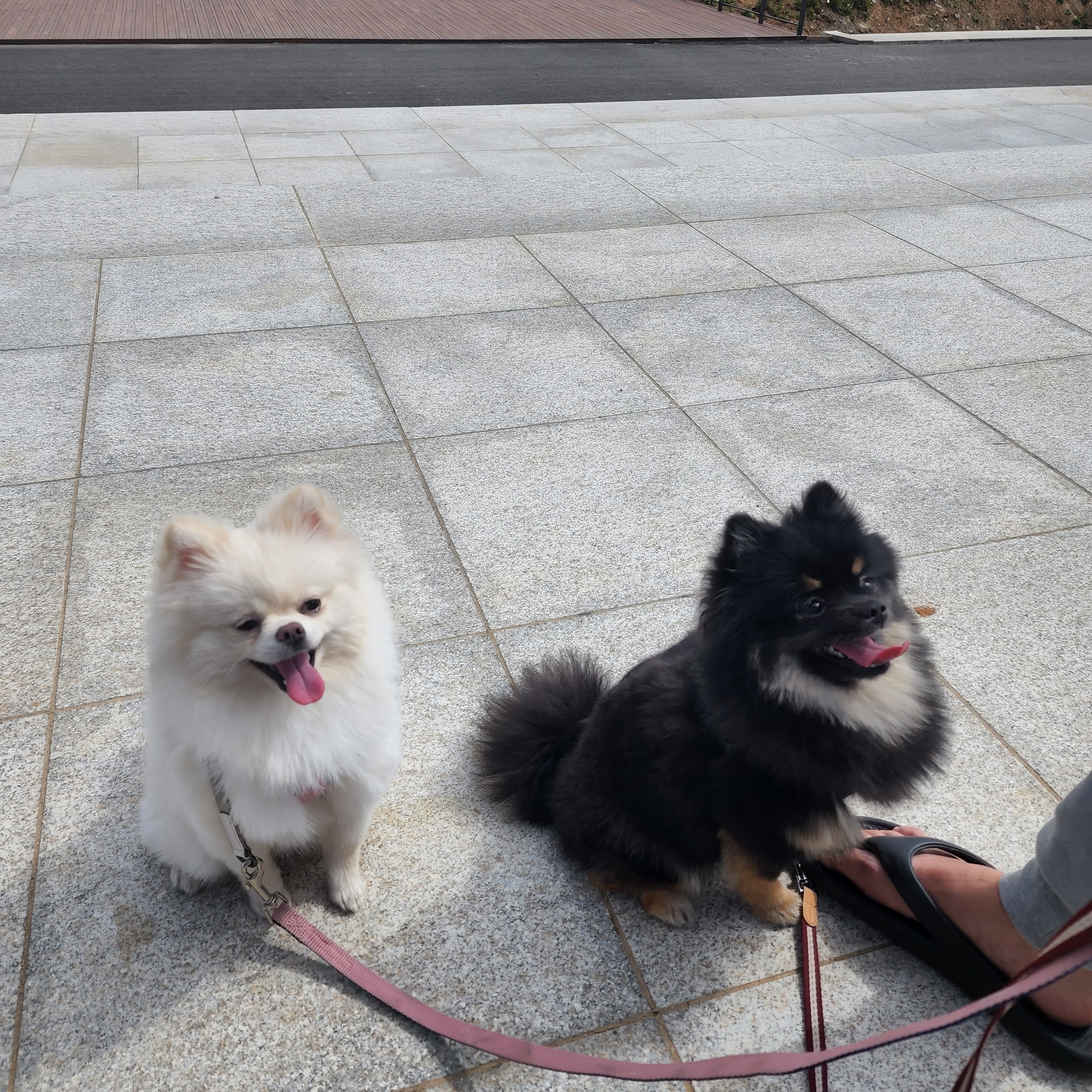 김성록님의 스타일