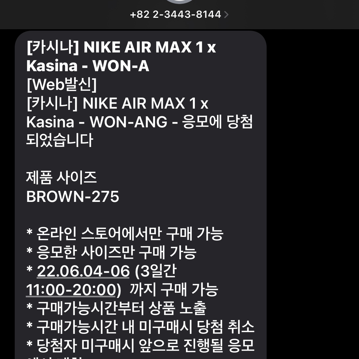 Nike x Kasina Air Max 1 SP Won-Ang Orange 착용 스타일 - 4