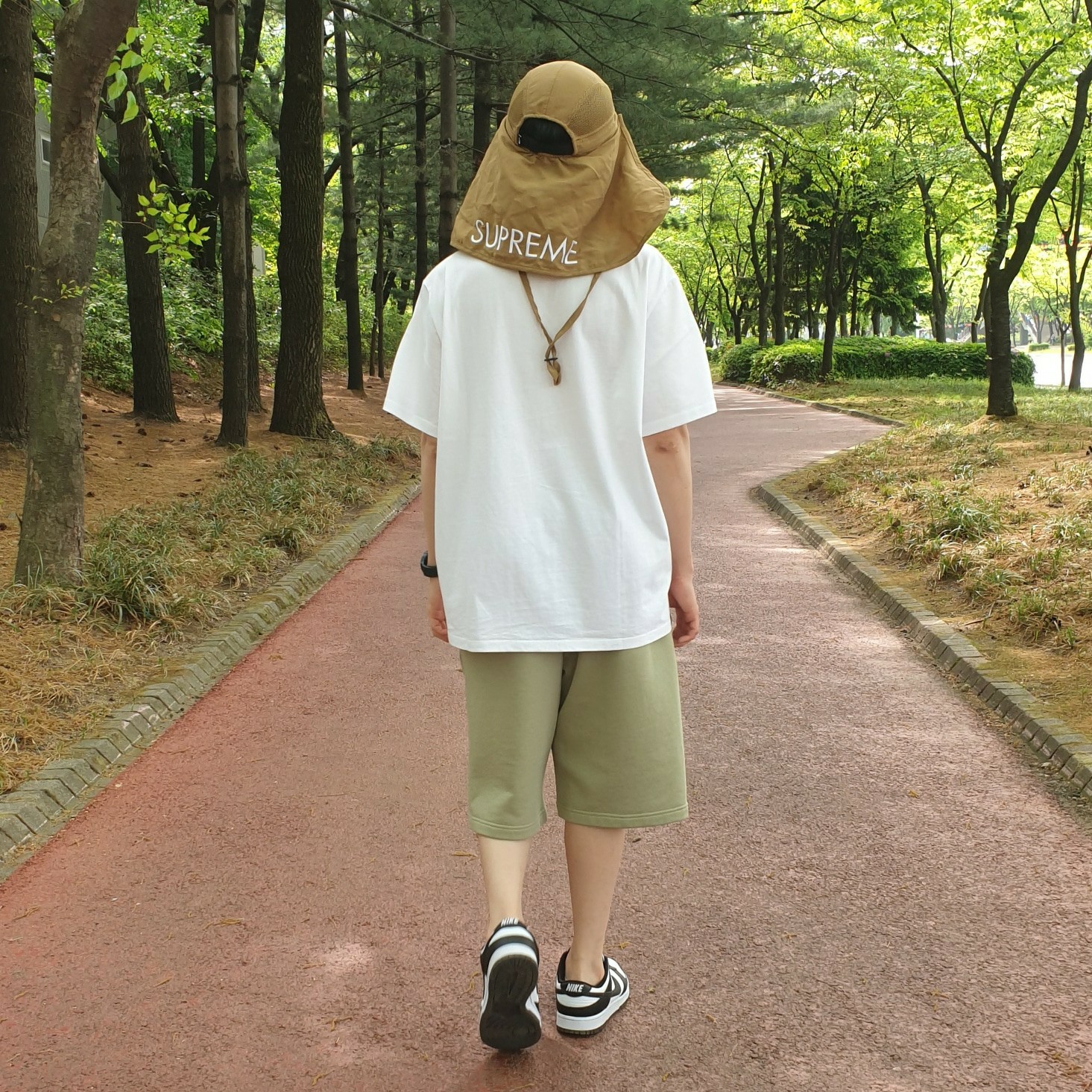 Supreme x The North F STYLE | KREAM
