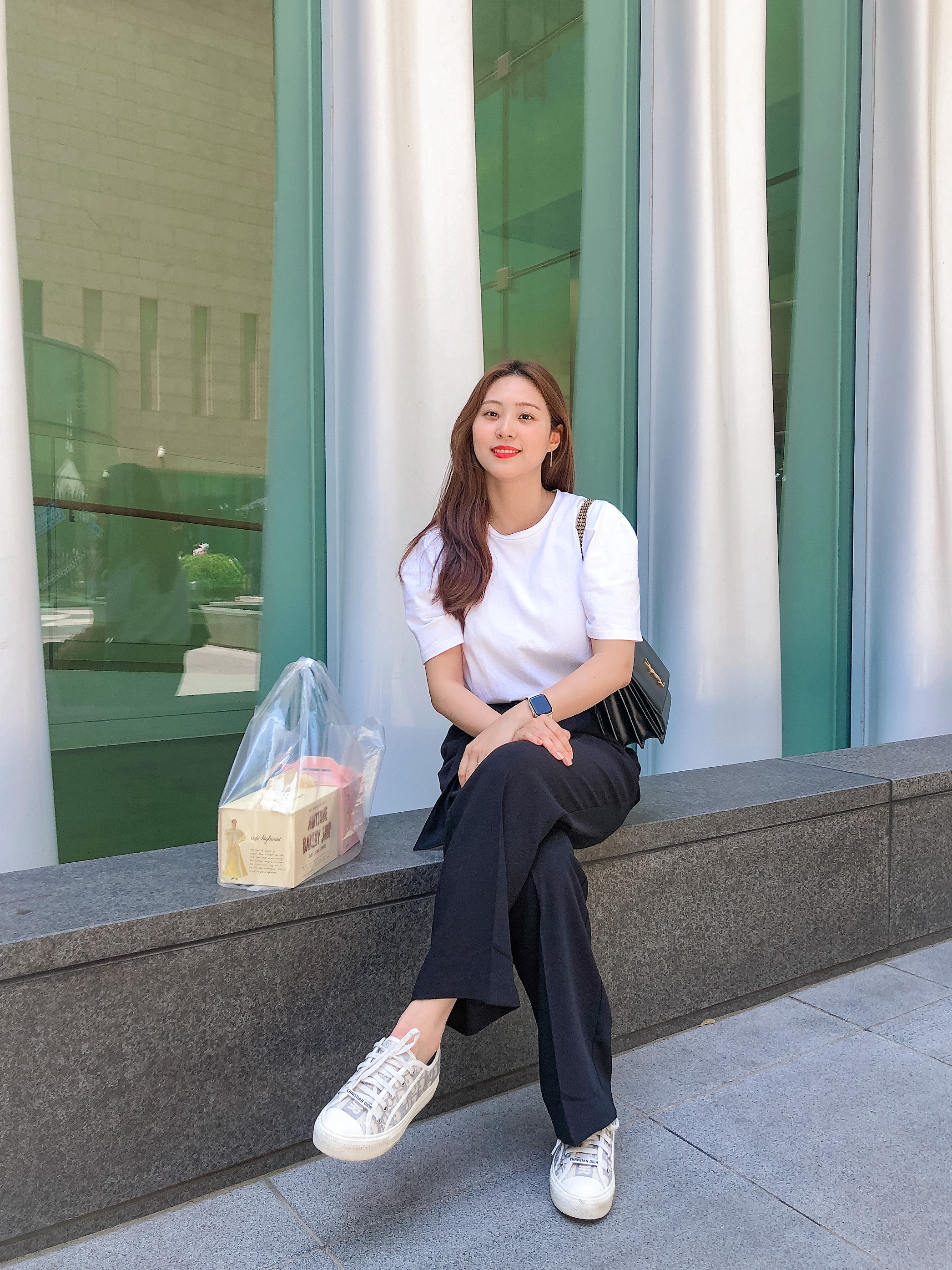 (W) Dior Walk'N'Dior Sneakers Oblique Gray, Apple Watch Series 7 41mm Cellular Starlight Aluminum Case with Sport Band Starlight (Korean Ver.) 착용 스타일