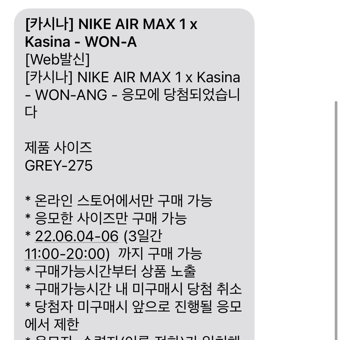 Nike x Kasina Air Max 1 SP Won-Ang Particle Grey 착용 스타일 - 5