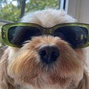 KREAM 프로필 이미지