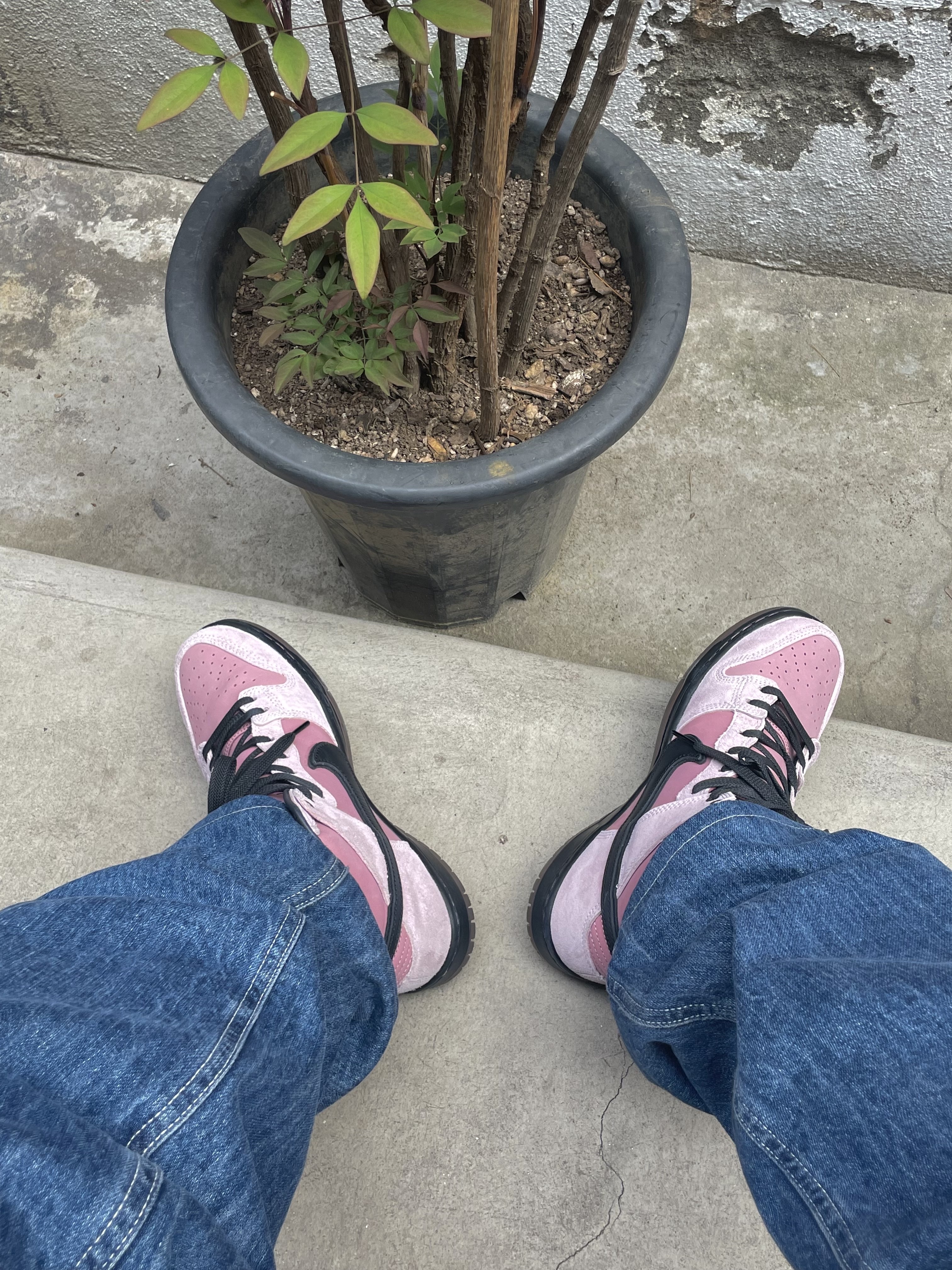 Nike x KCDC SB Dunk High Pro QS Elemental Pink 착용 스타일 - 5