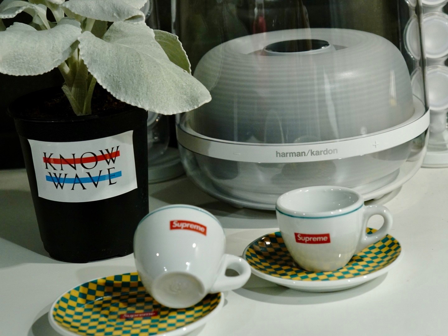 Supreme x IPA Porcellane Aosta Espresso Set Teal (Set of 2) 착용 스타일
