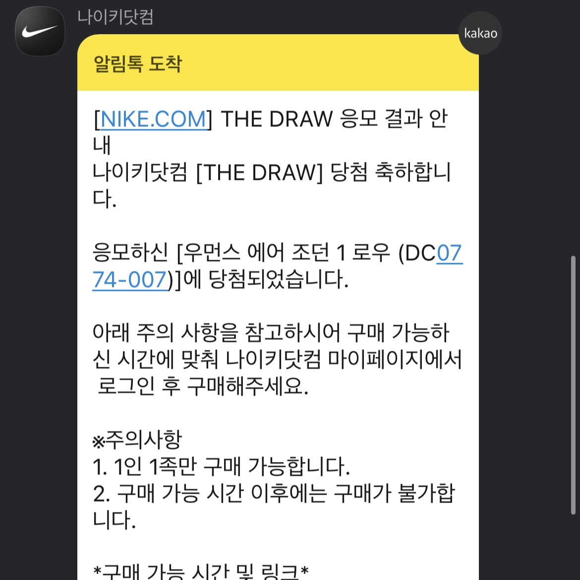 (W) Jordan 1 Low Citron Tint 착용 스타일