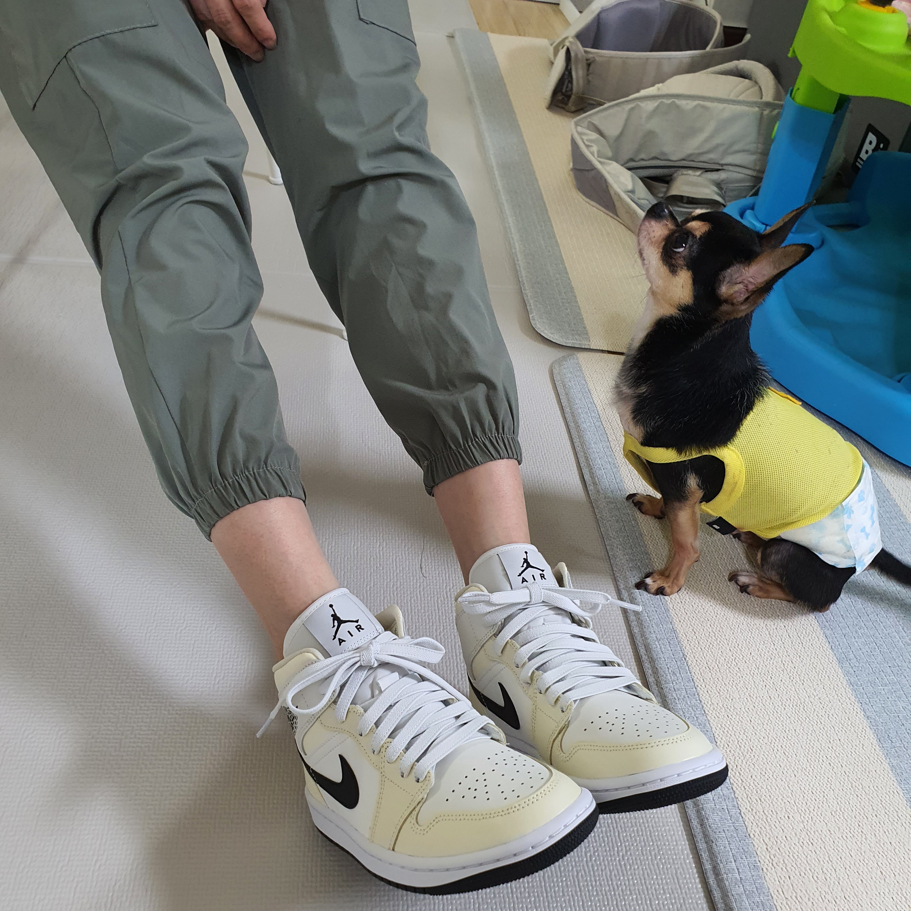 (W) Jordan 1 Mid Coconut Milk 착용 스타일 - 1