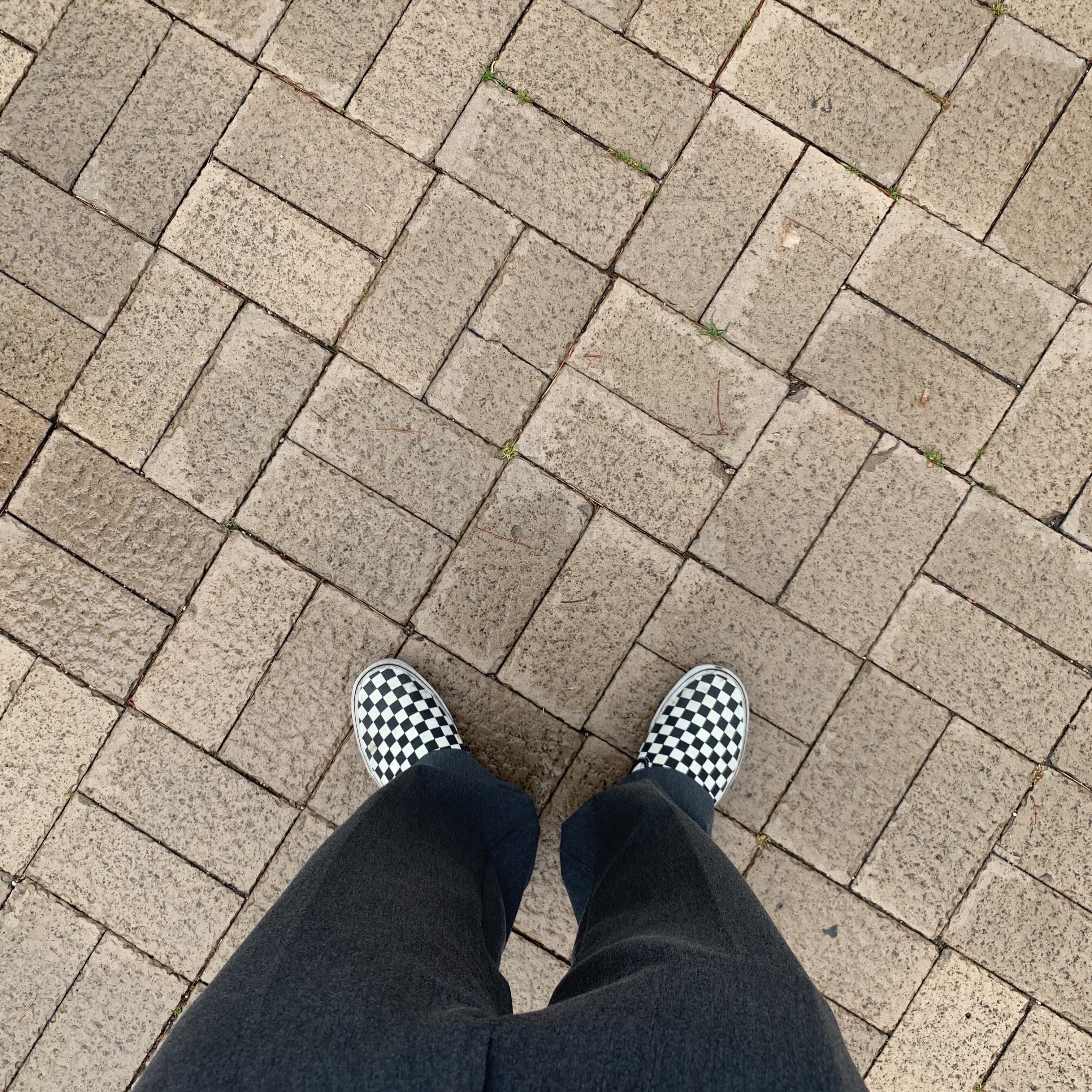 Vans Slip-On Checkerboard 착용 스타일