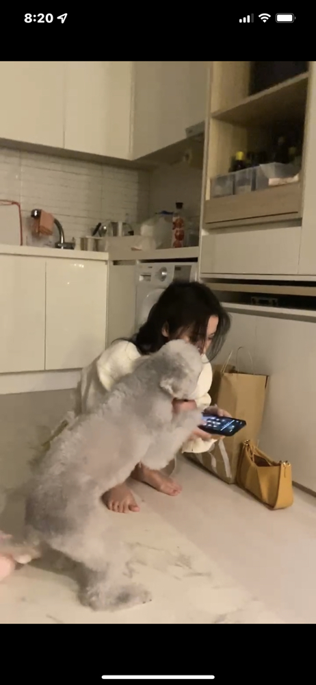 KREAM 프로필 이미지