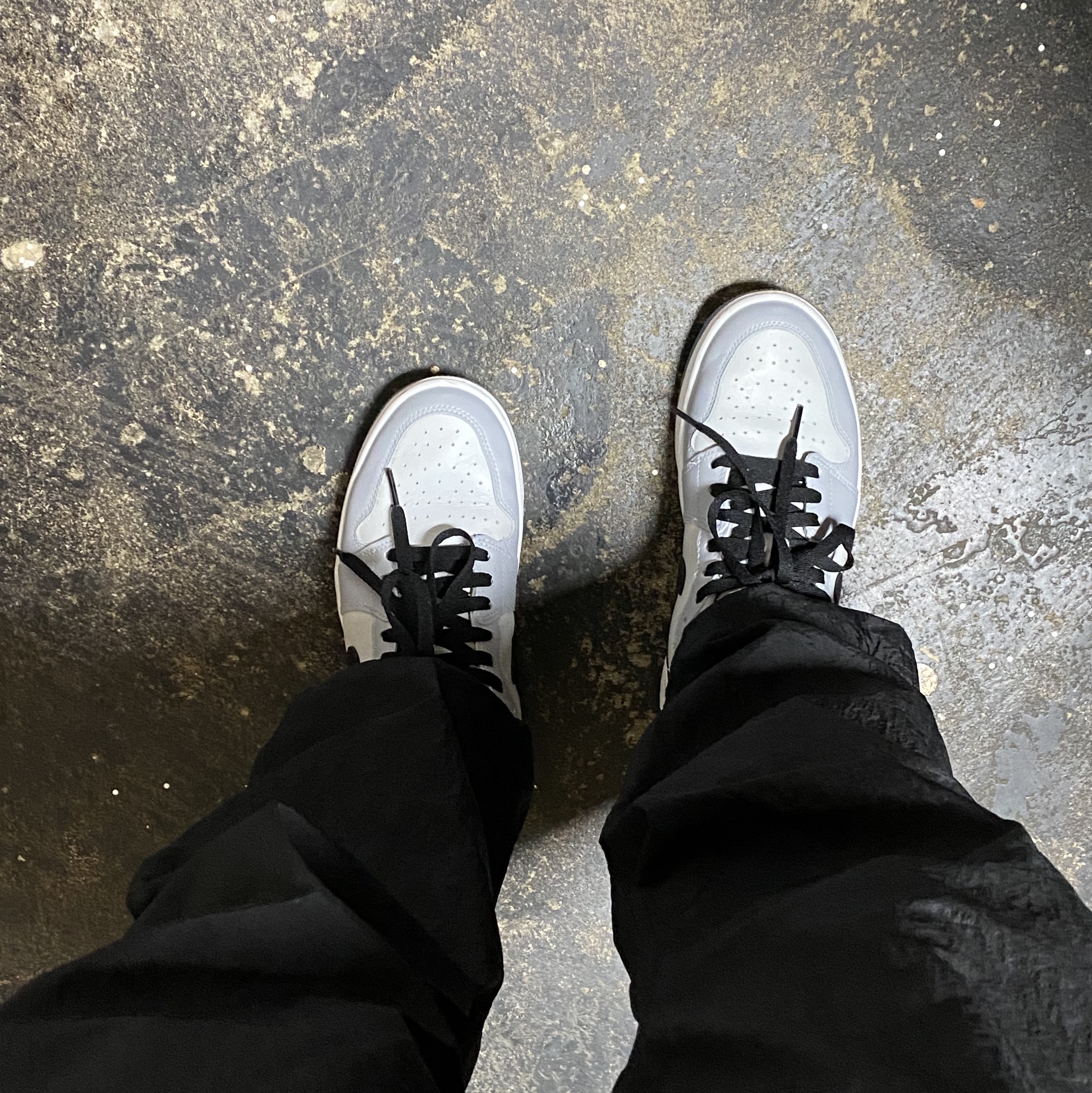 Jordan 1 Low Golf Wolf Grey 착용 스타일 - 3