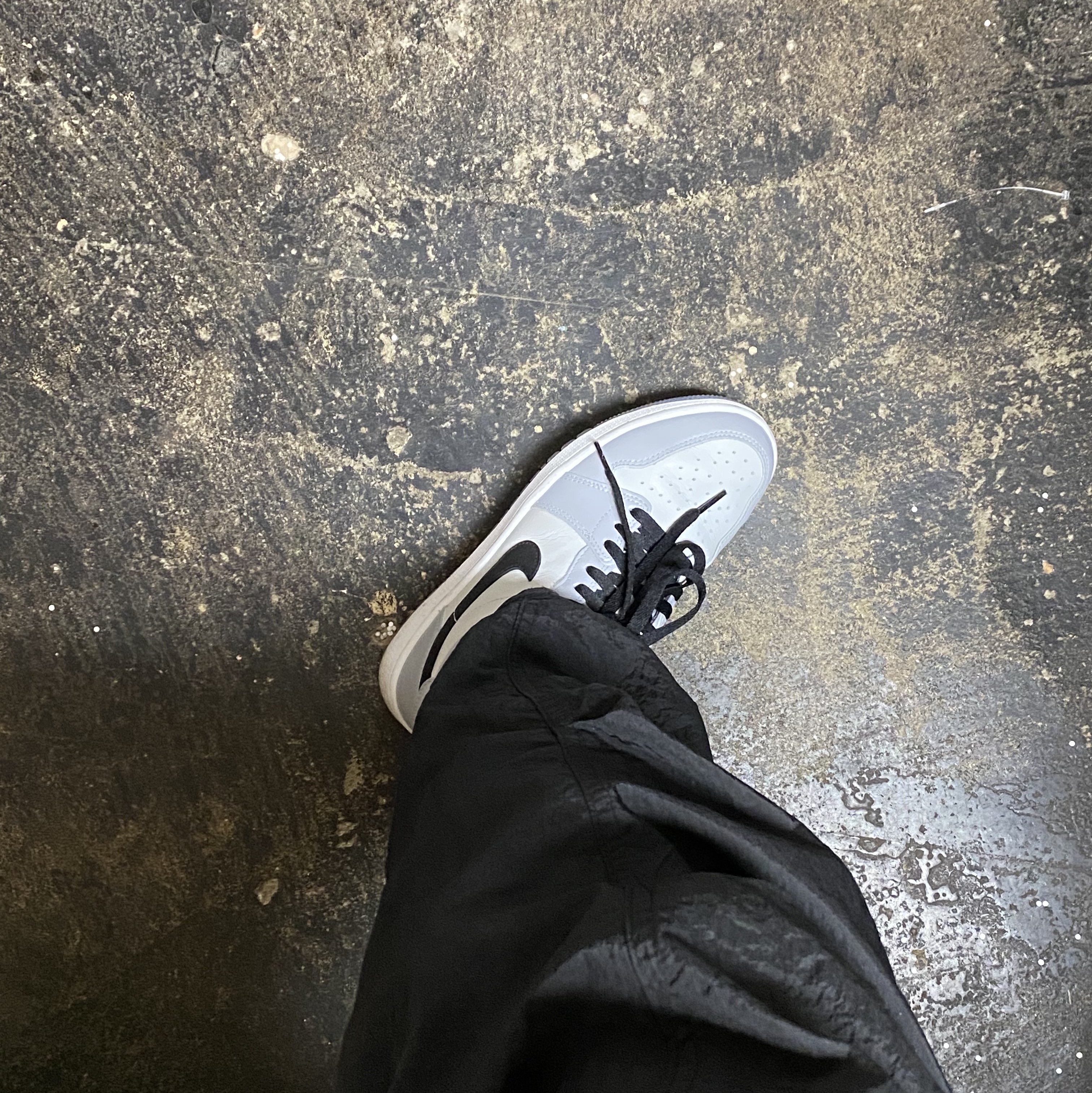 Jordan 1 Low Golf Wolf Grey 착용 스타일 - 2