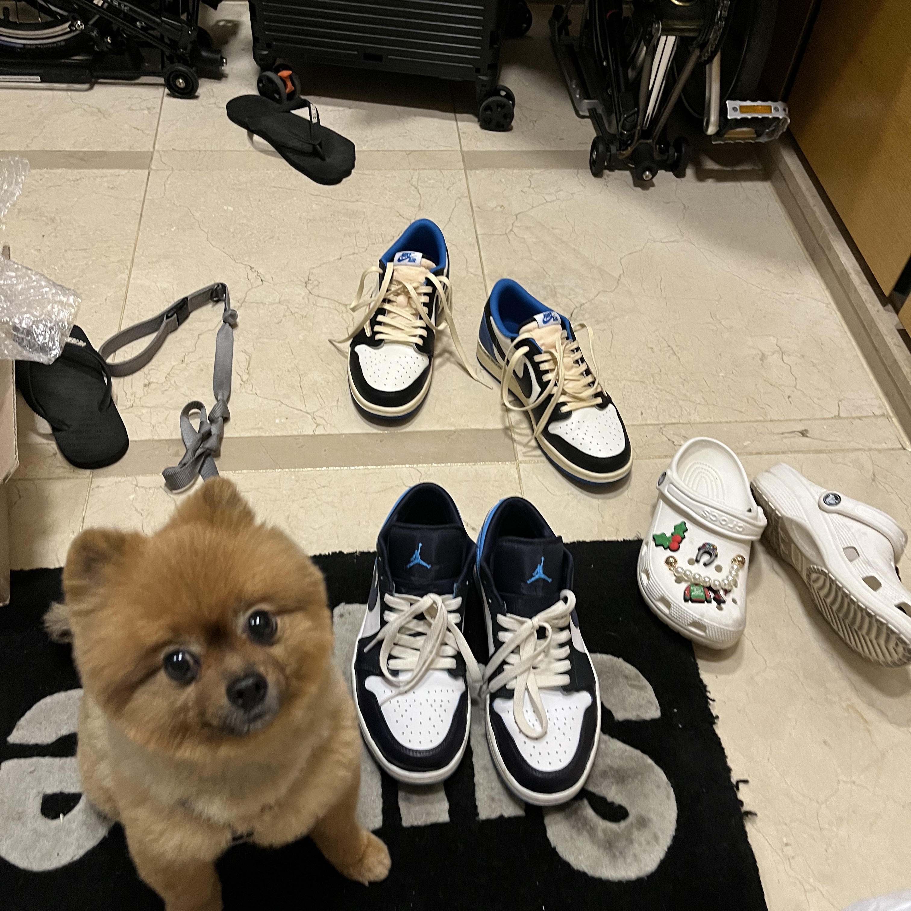Jordan 1 Low Dark Powder Blue, Jordan 1 x Travis Scott x Fragment Retro Low OG SP Military Blue 착용 스타일